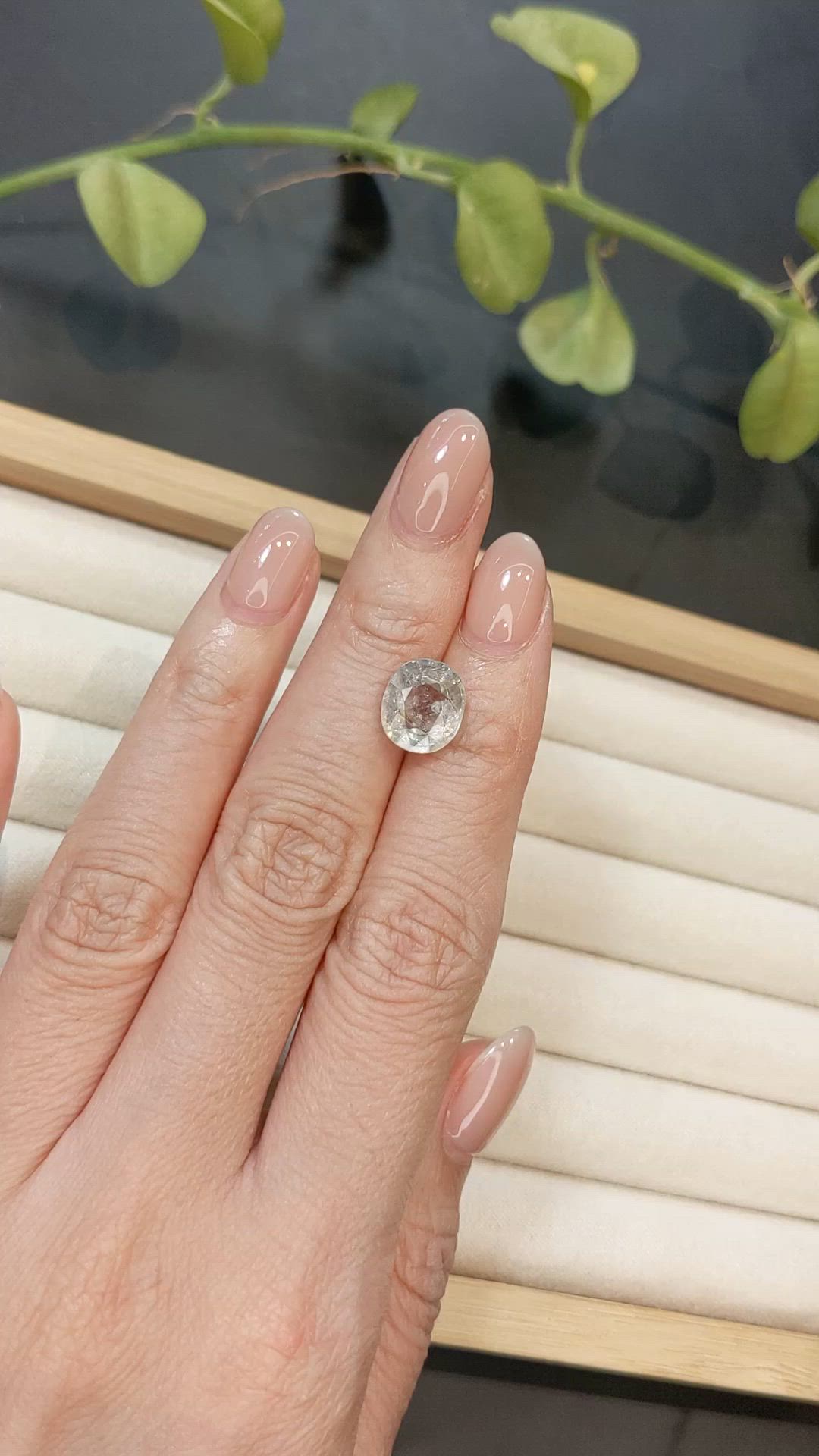 4.86 Ct. Grey Sapphire from Madagascar Size Video