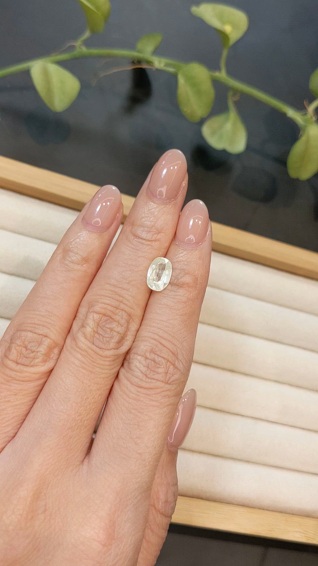 1.80 Ct. Greenish Yellow Sapphire from Burma (Myanmar) Size Video