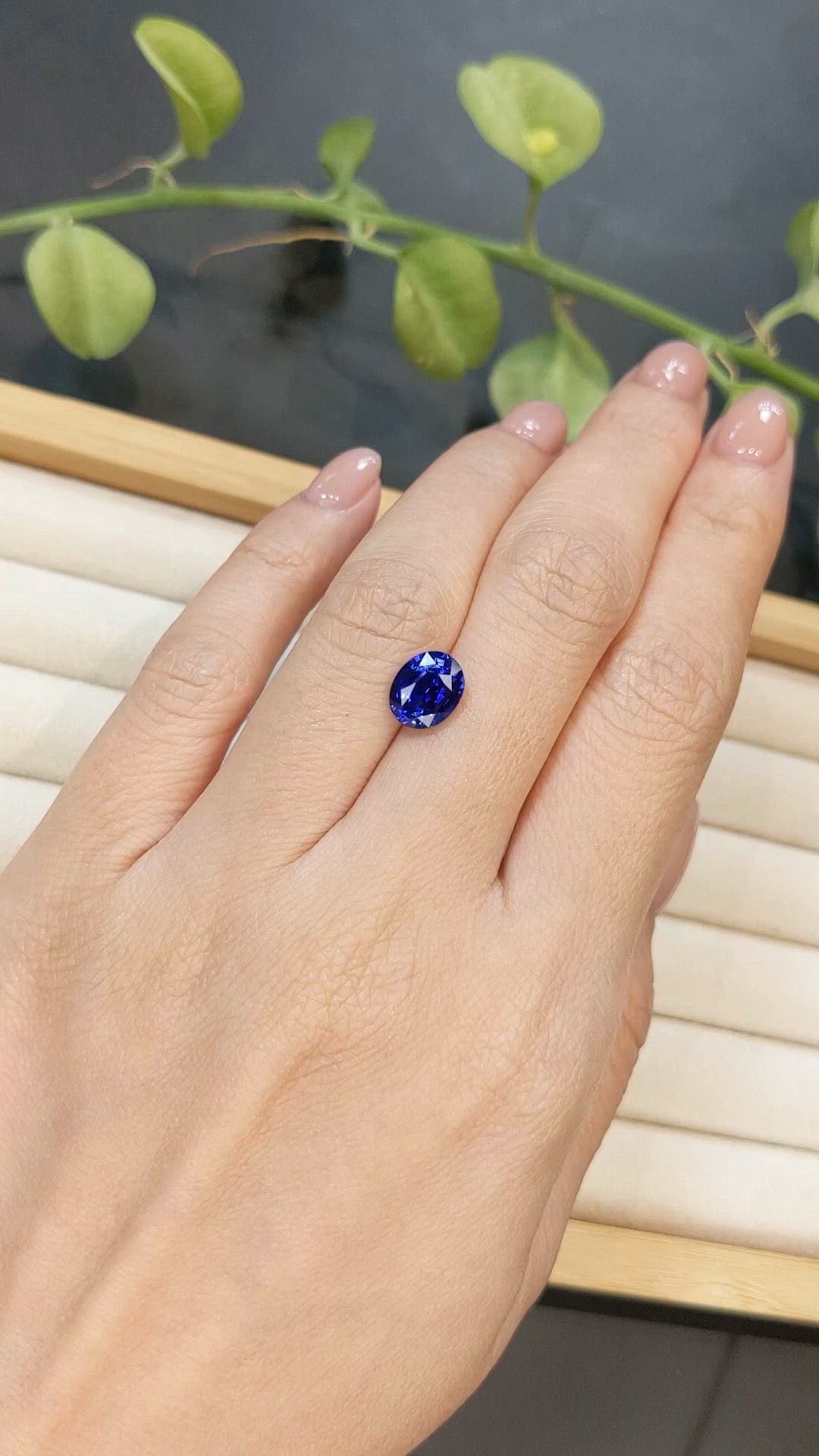 2.69 Ct. Blue Sapphire from Ceylon (Sri Lanka) Size Video