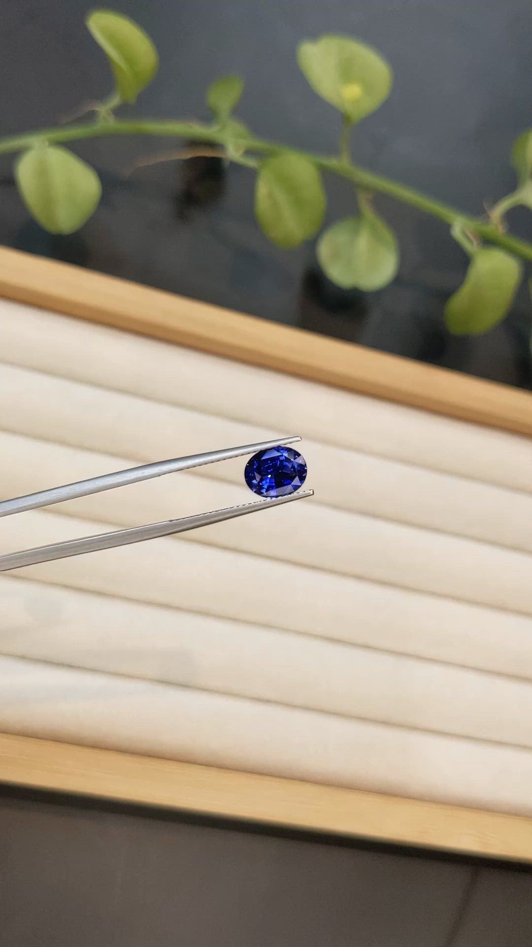 2.69 Ct. Blue Sapphire from Ceylon (Sri Lanka) Size Video