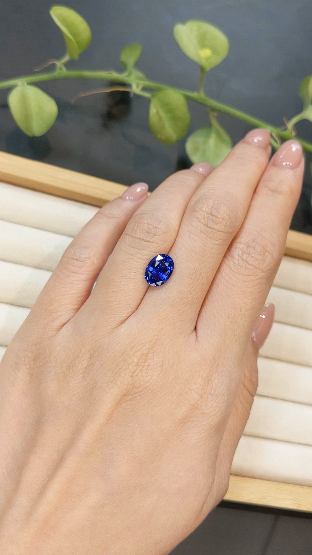 3.00 Ct. Blue Sapphire from Ceylon (Sri Lanka) Size Video