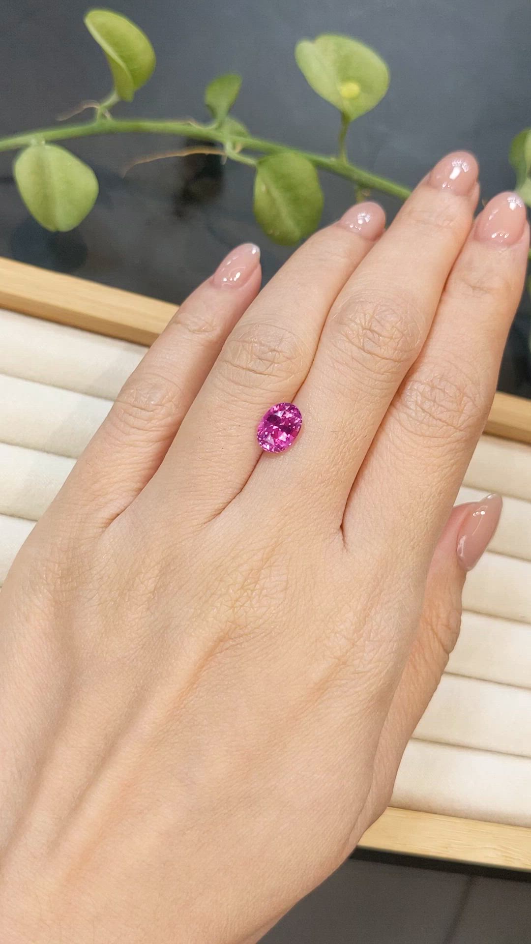 2.54 Ct. Purplish Pink Sapphire from Ceylon (Sri Lanka) Size Video