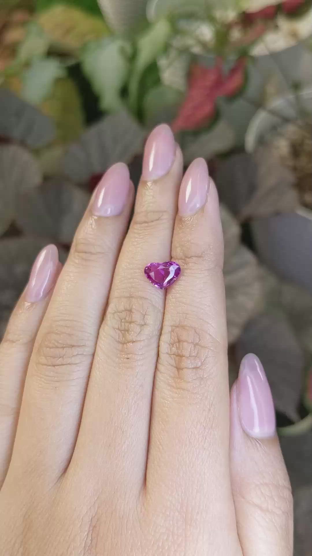 2.02 Ct. Purplish Pink Sapphire from Ceylon (Sri Lanka) Size Video