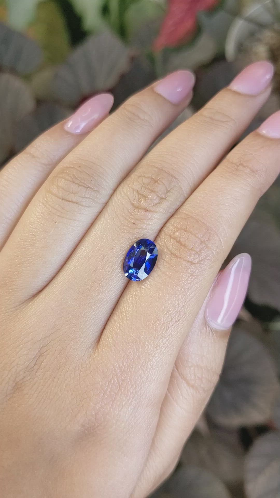 2.54 Ct. Blue Sapphire from Ceylon (Sri Lanka) Size Video