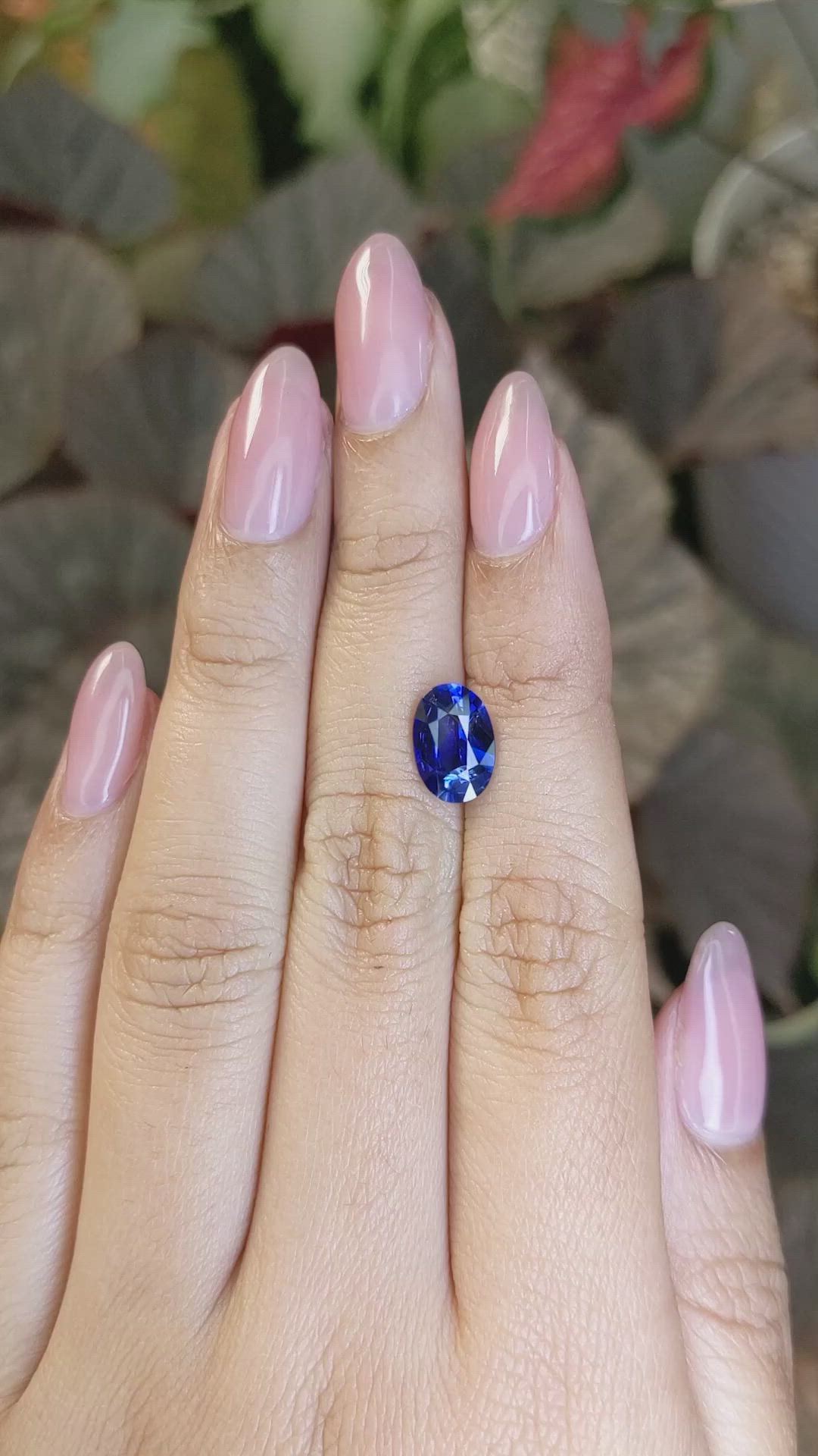 2.54 Ct. Blue Sapphire from Ceylon (Sri Lanka) Size Video