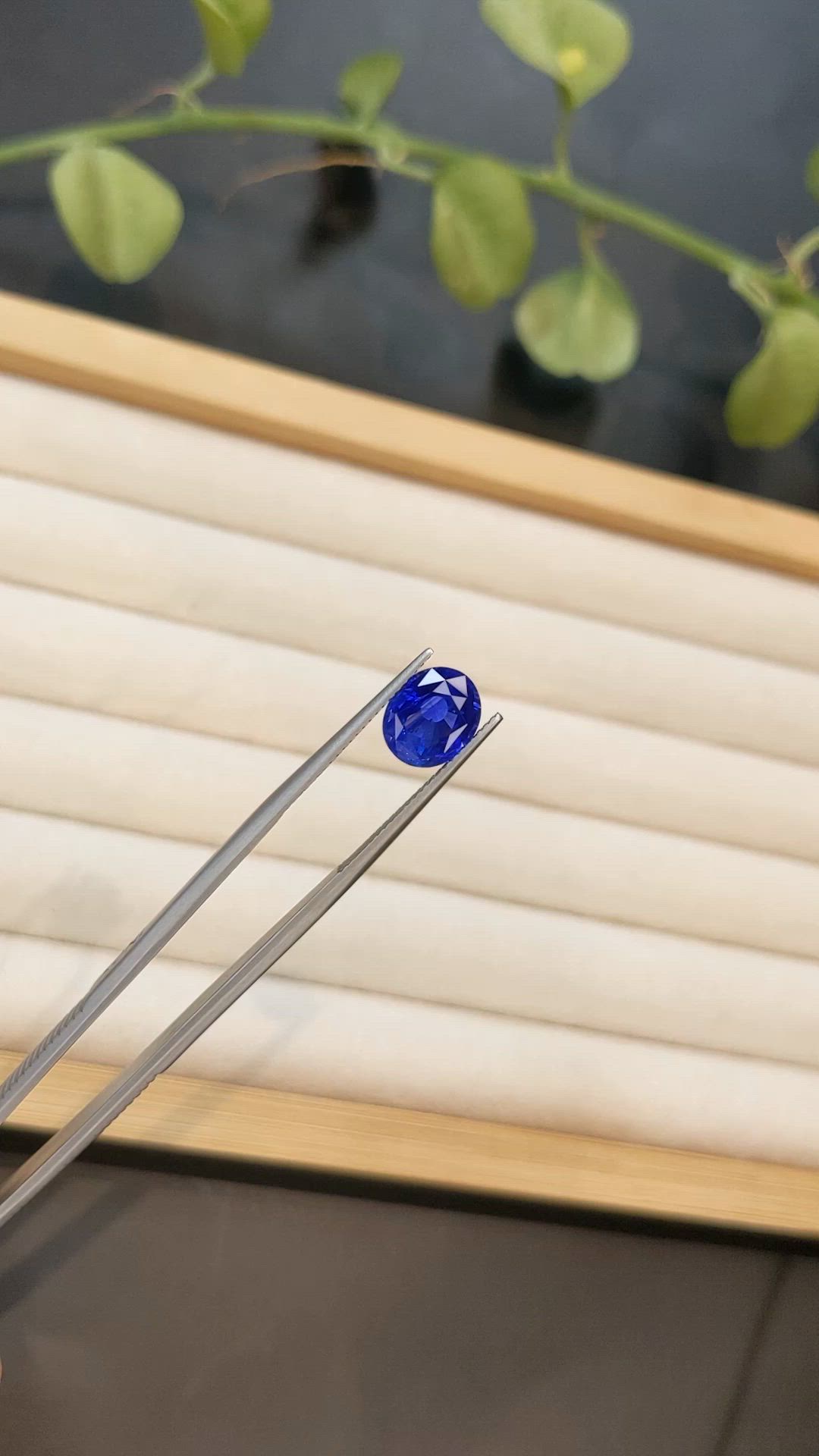 3.70 Ct. Blue Sapphire from Ceylon (Sri Lanka) Size Video