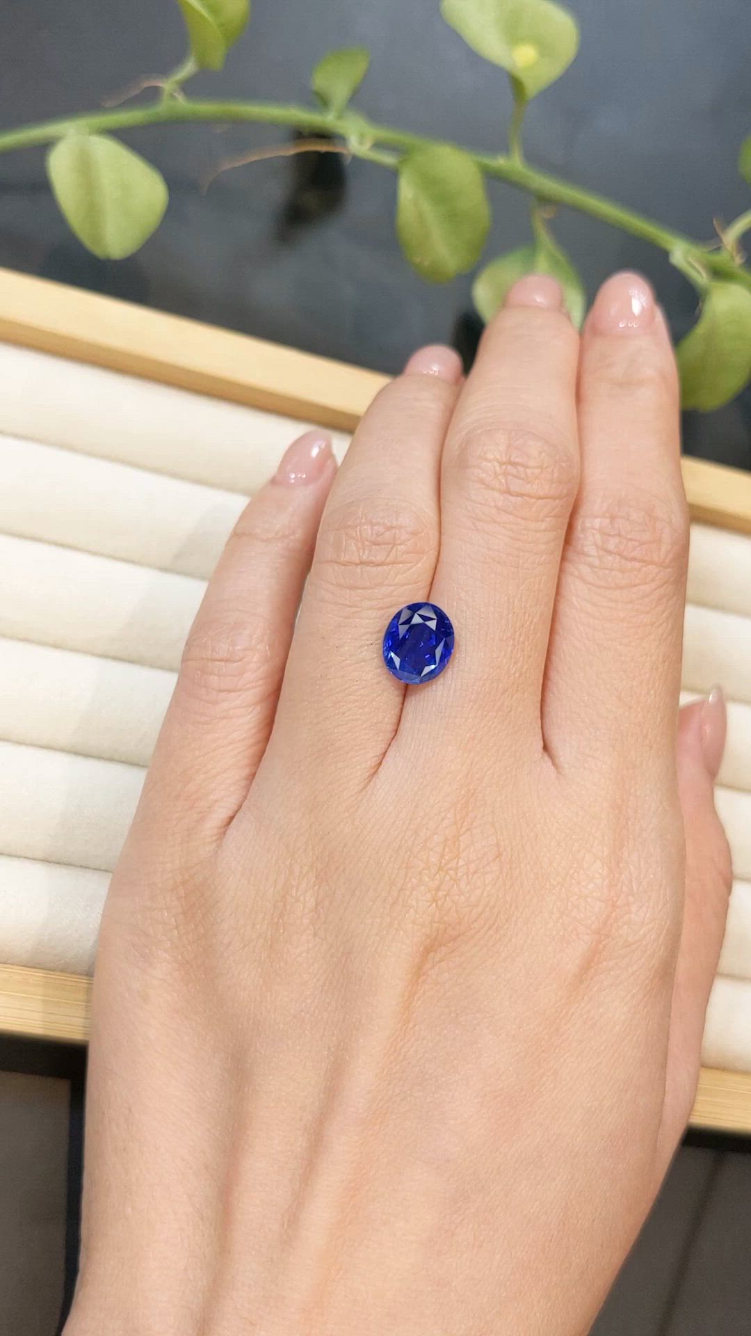 3.70 Ct. Blue Sapphire from Ceylon (Sri Lanka) Size Video