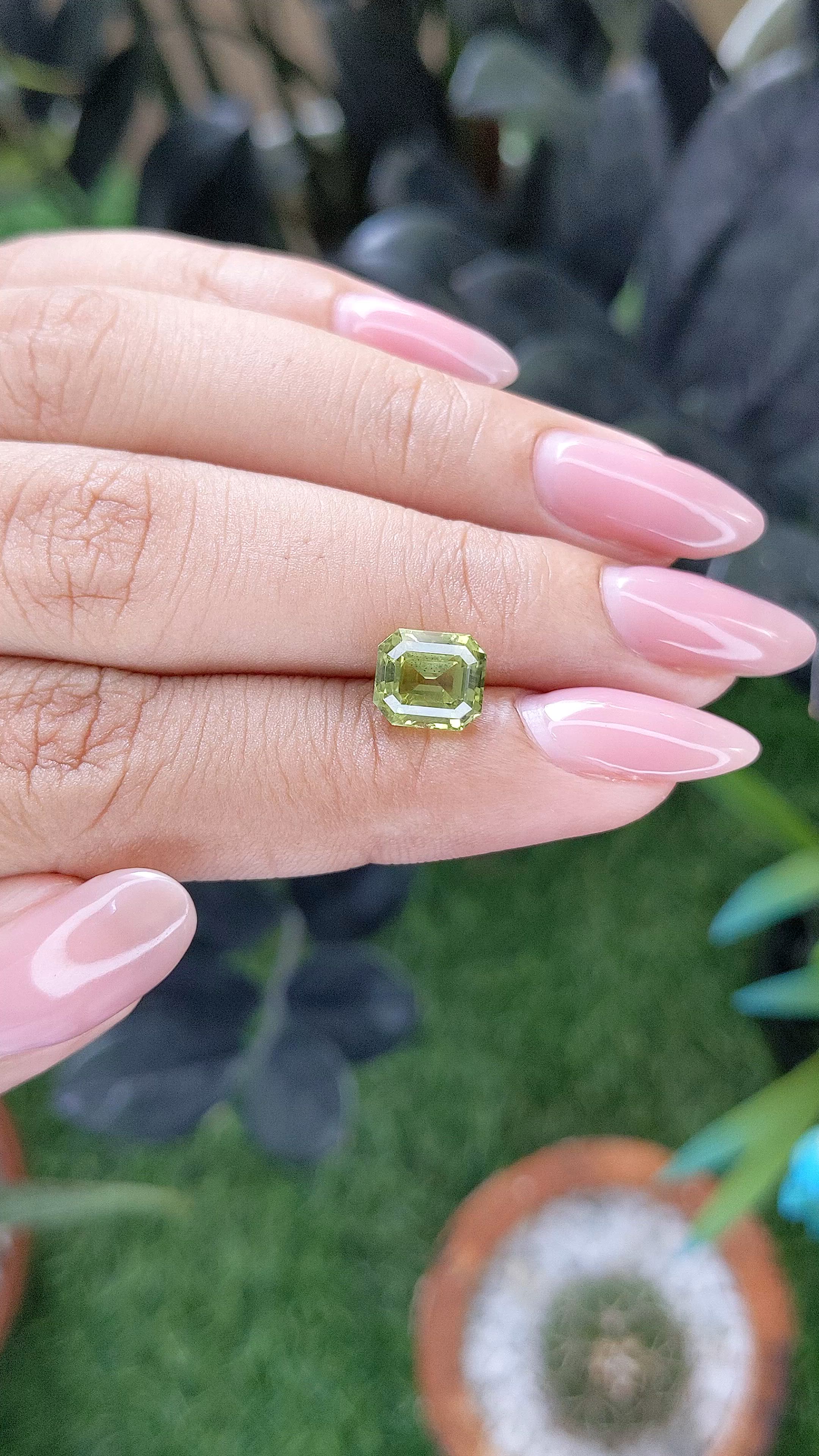 3.02 Ct. Yellowish Green Sapphire from Madagascar Size Video