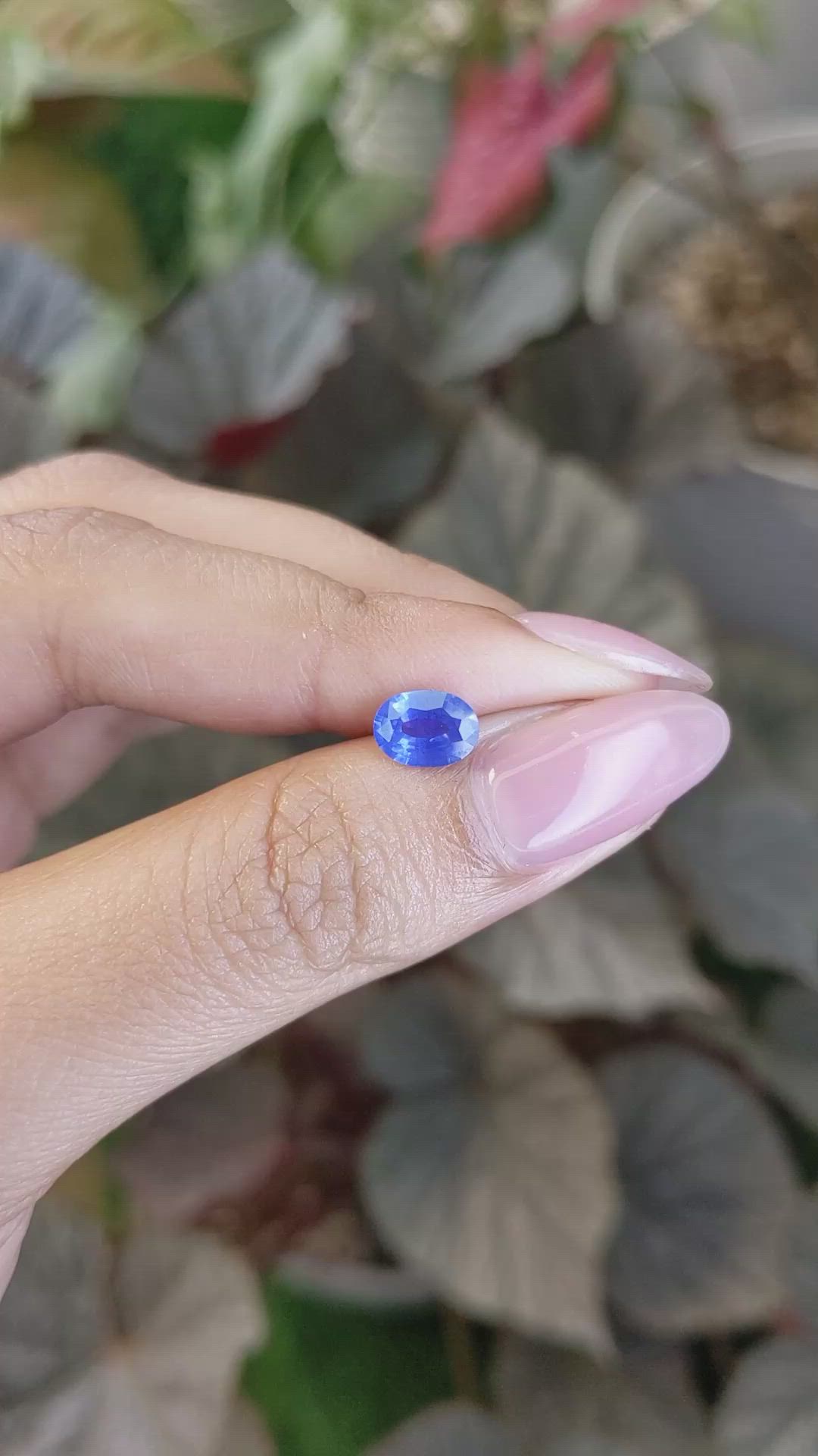 1.13 Ct. Blue Sapphire from Ceylon (Sri Lanka) Size Video