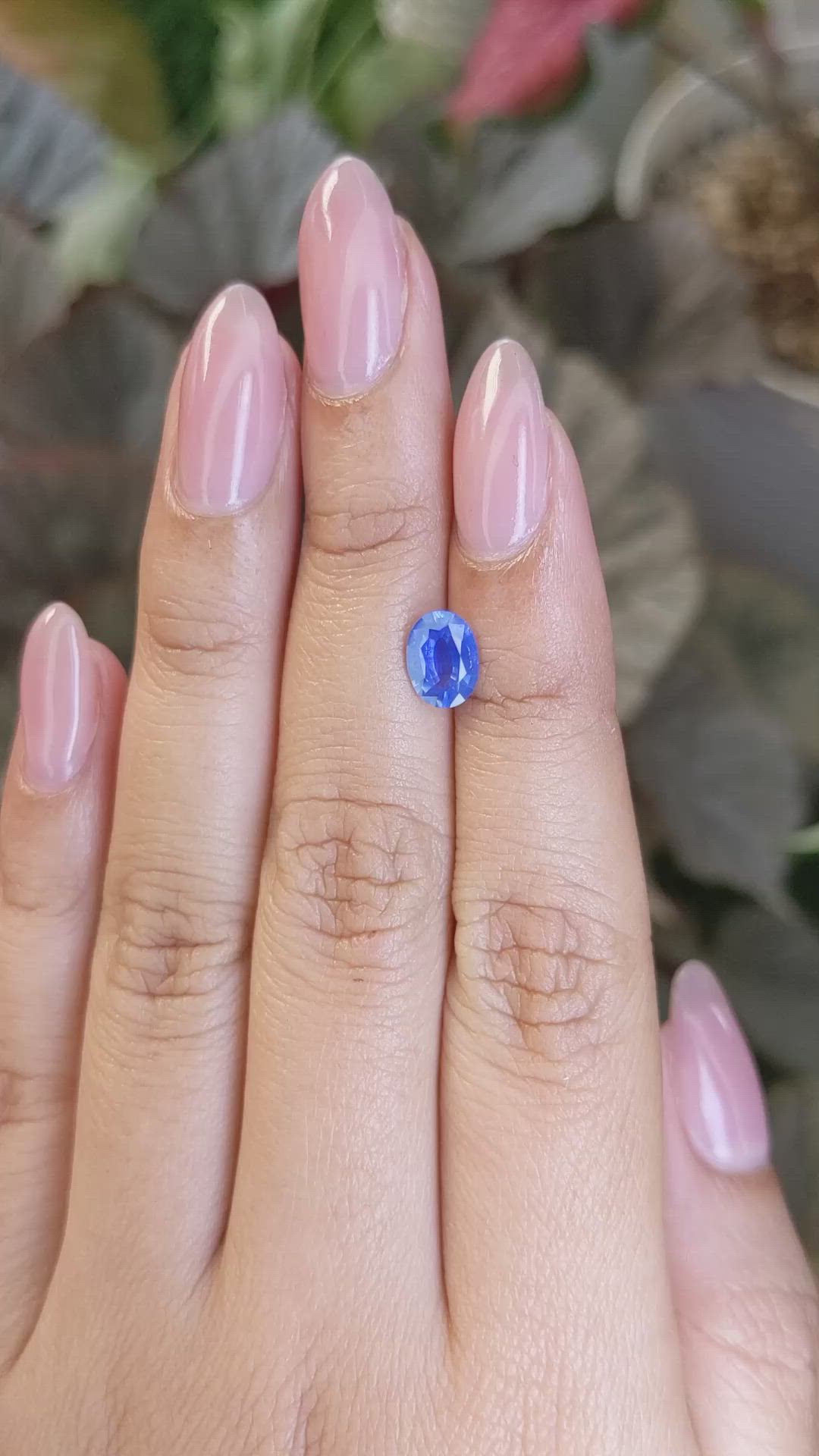 1.13 Ct. Blue Sapphire from Ceylon (Sri Lanka) Size Video