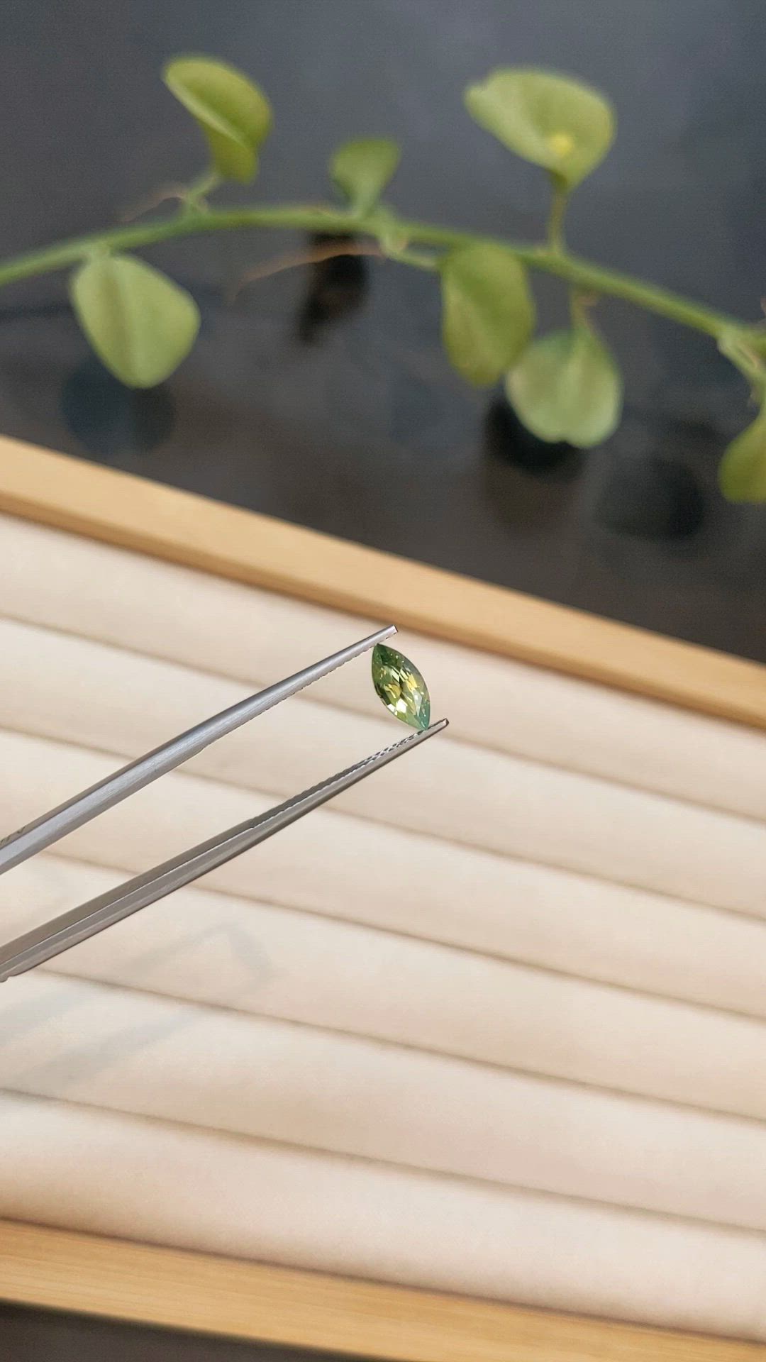 0.90 Ct. Yellowish Green Sapphire from Ceylon (Sri Lanka) Size Video