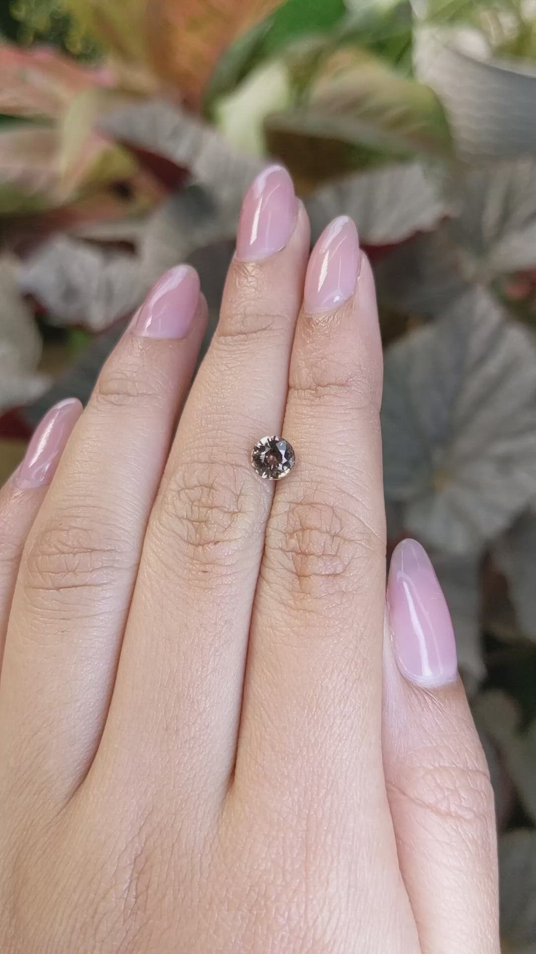 1.03 Ct. Brown Sapphire from Ceylon (Sri Lanka) Size Video