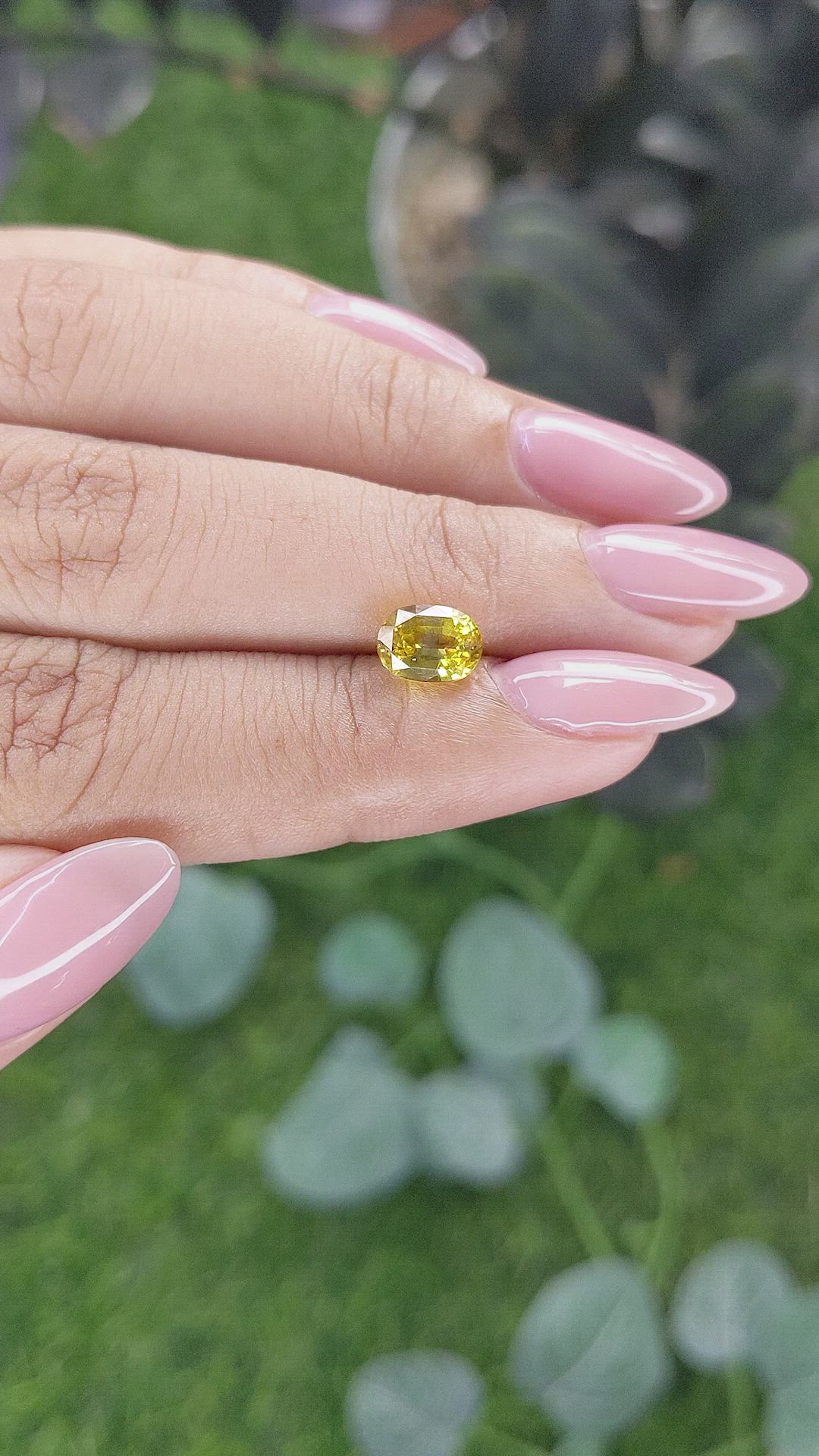 1.87 Ct. Yellow Sapphire from Ceylon (Sri Lanka) Size Video