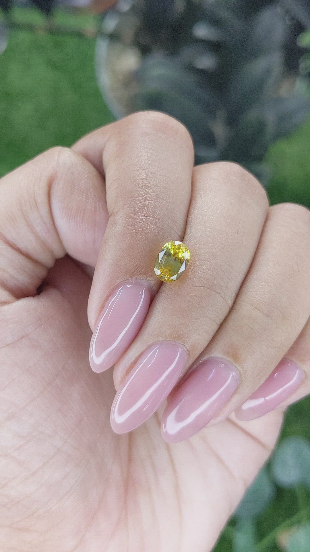 1.87 Ct. Yellow Sapphire from Ceylon (Sri Lanka) Size Video