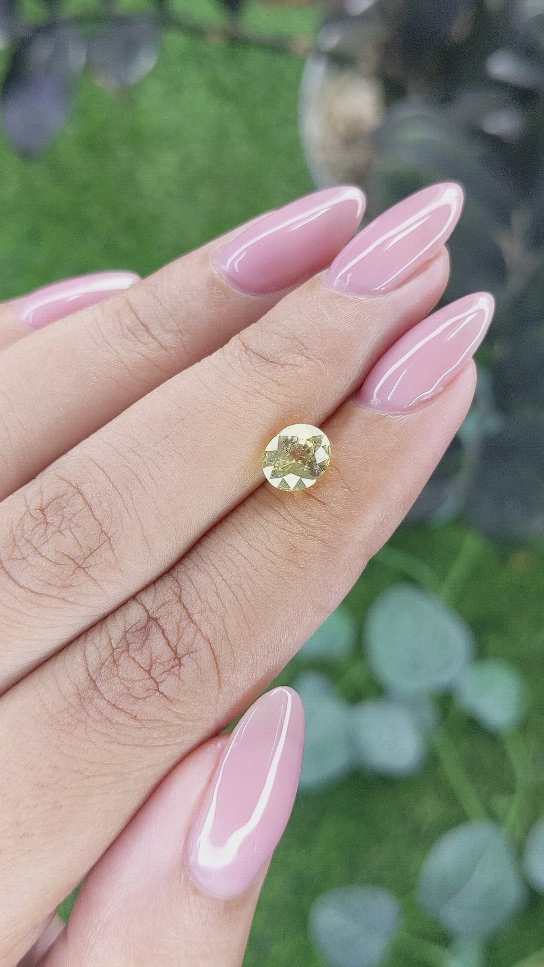 1.60 Ct. Yellow Sapphire from Ceylon (Sri Lanka) Size Video
