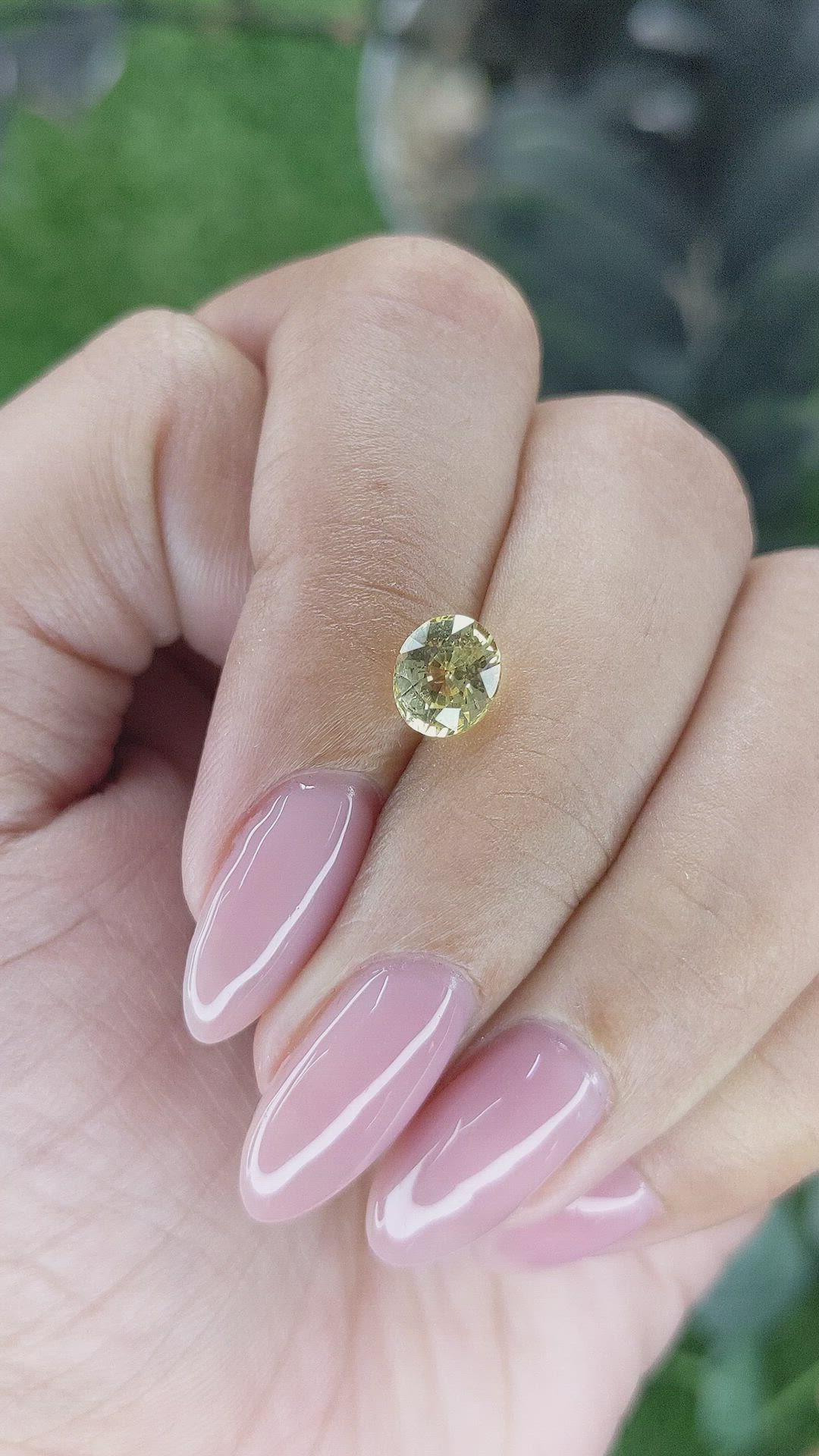 1.60 Ct. Yellow Sapphire from Ceylon (Sri Lanka) Size Video