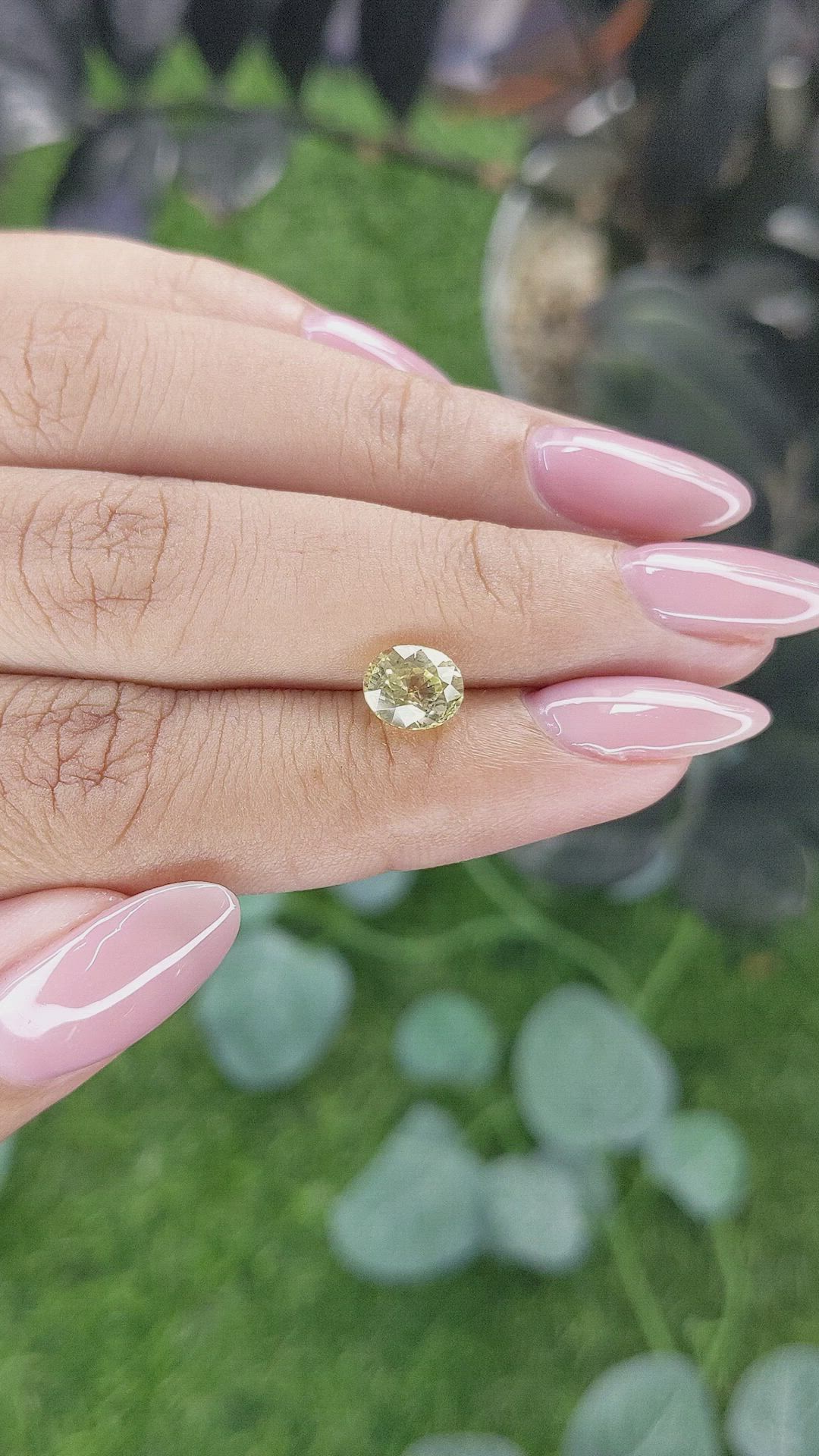 1.60 Ct. Yellow Sapphire from Ceylon (Sri Lanka) Size Video