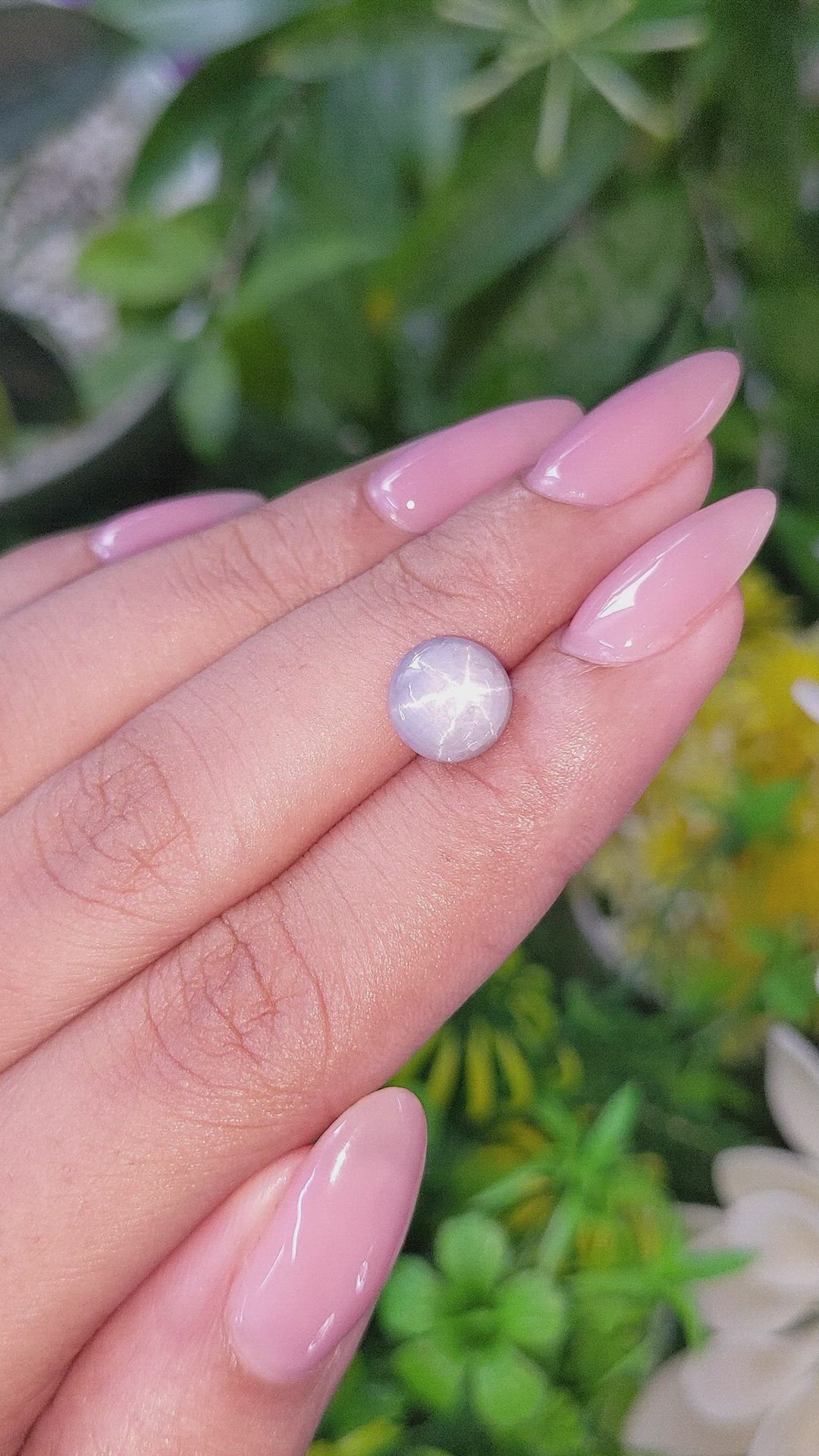 3.14 Ct. Grey Star Sapphire from Ceylon (Sri Lanka) Size Video