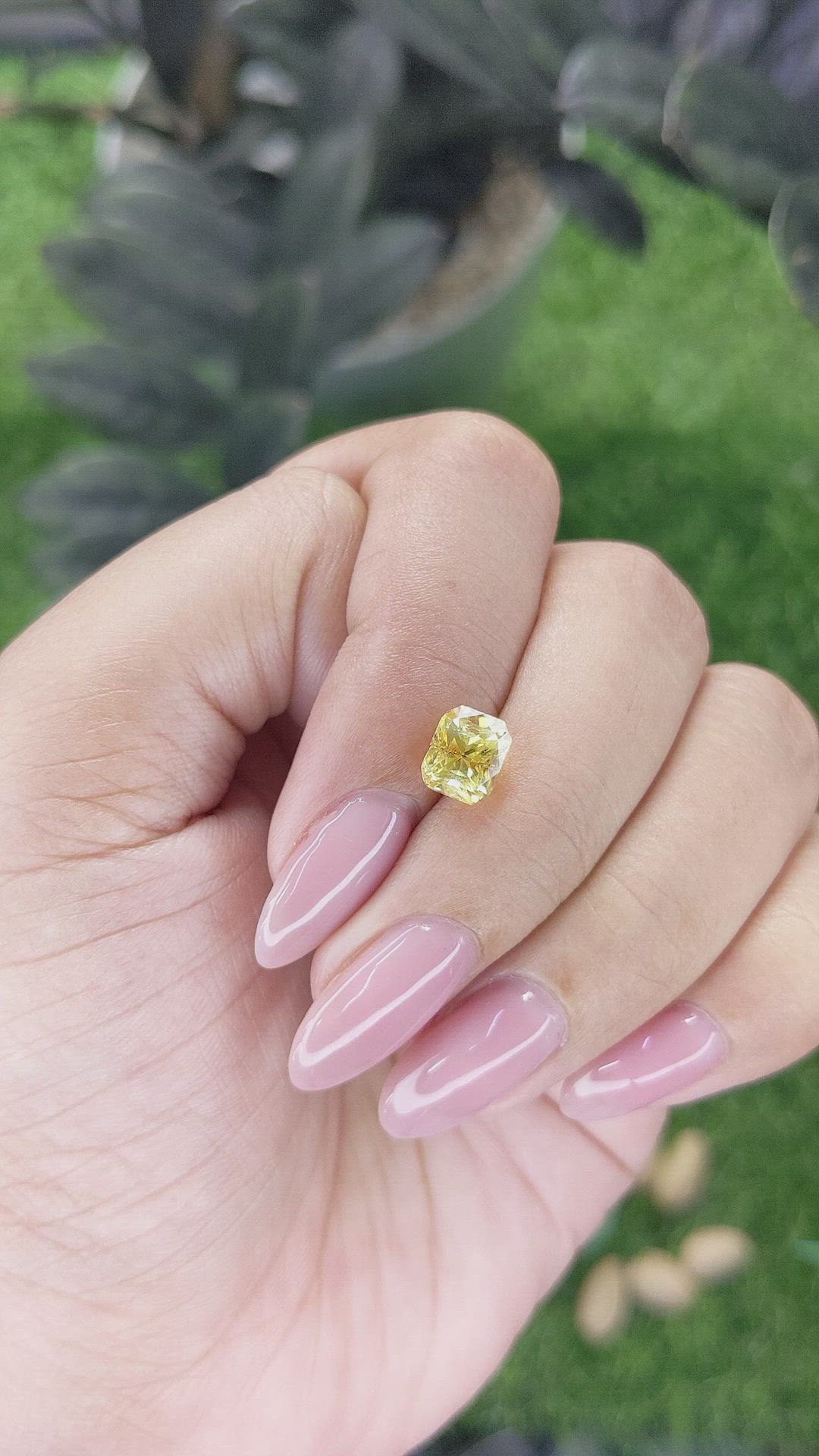 2.11 Ct. Yellow Sapphire from Ceylon (Sri Lanka) Size Video