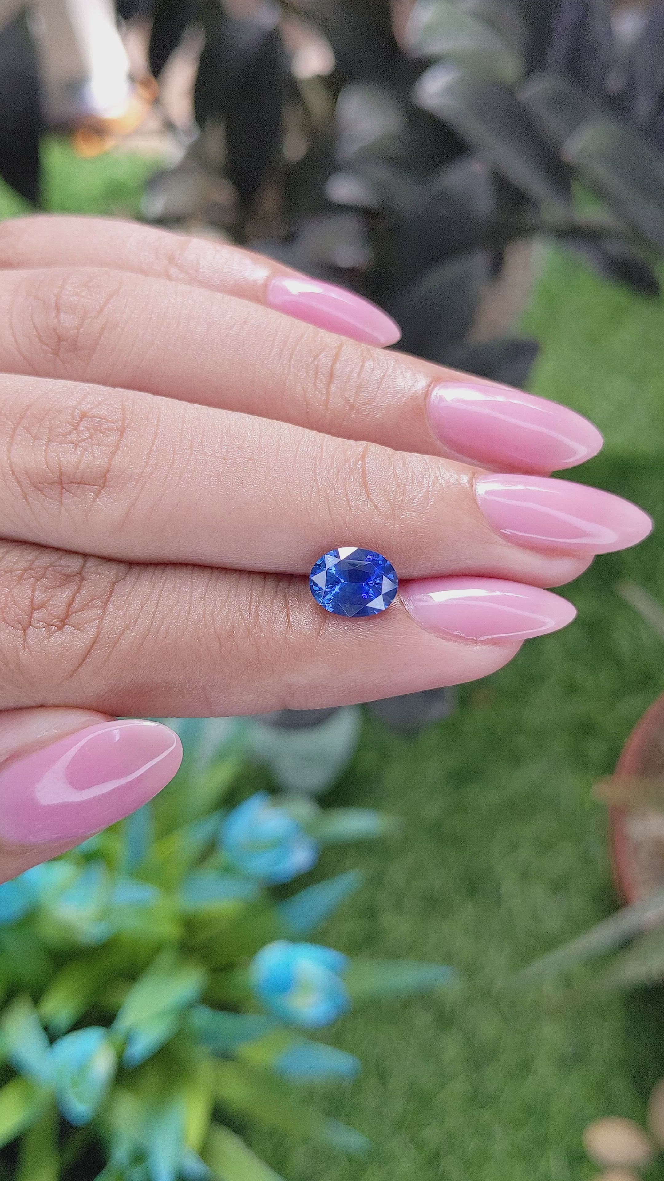 1.61 Ct. Blue Sapphire from Ceylon (Sri Lanka) Size Video
