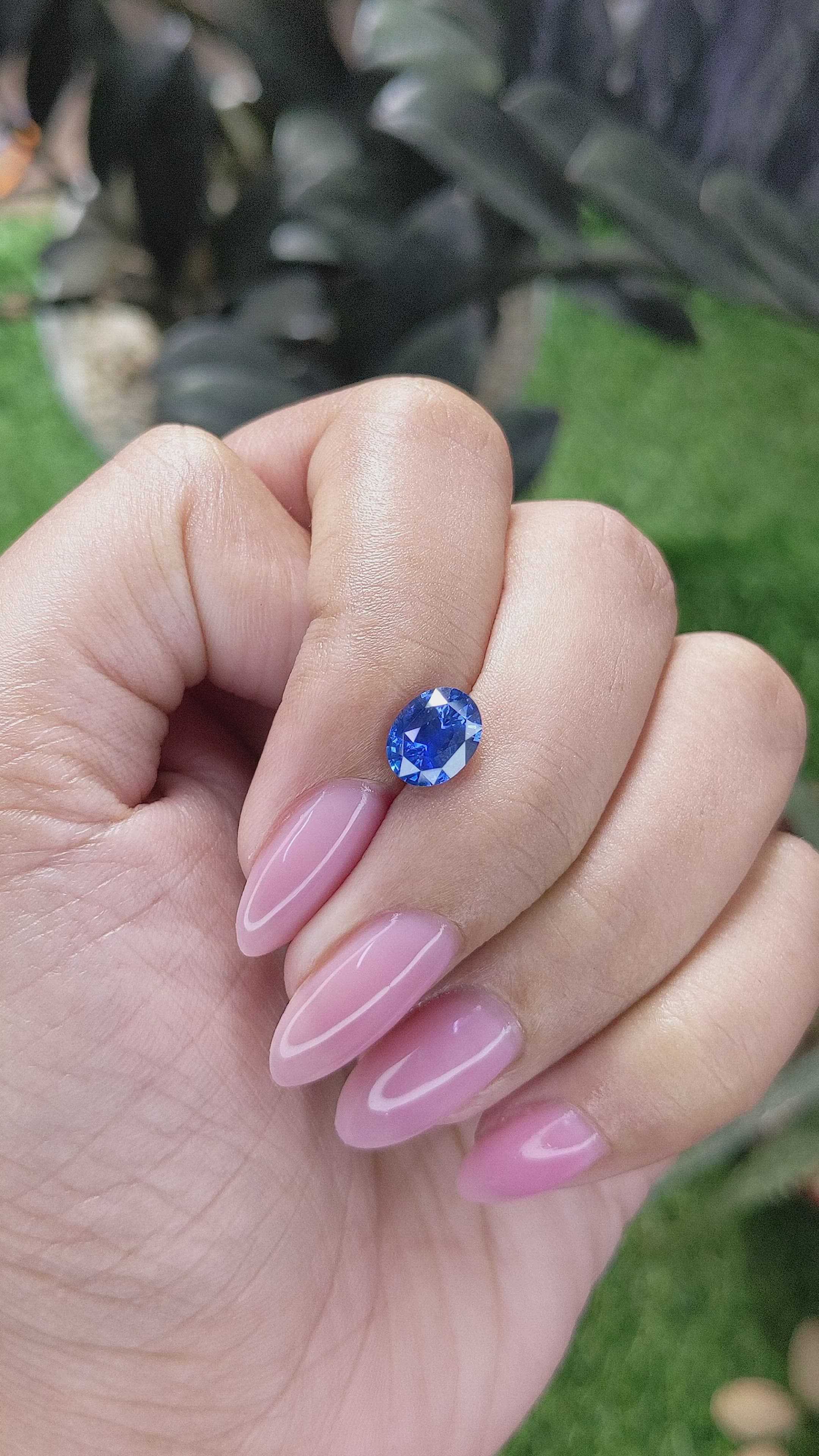 1.61 Ct. Blue Sapphire from Ceylon (Sri Lanka) Size Video