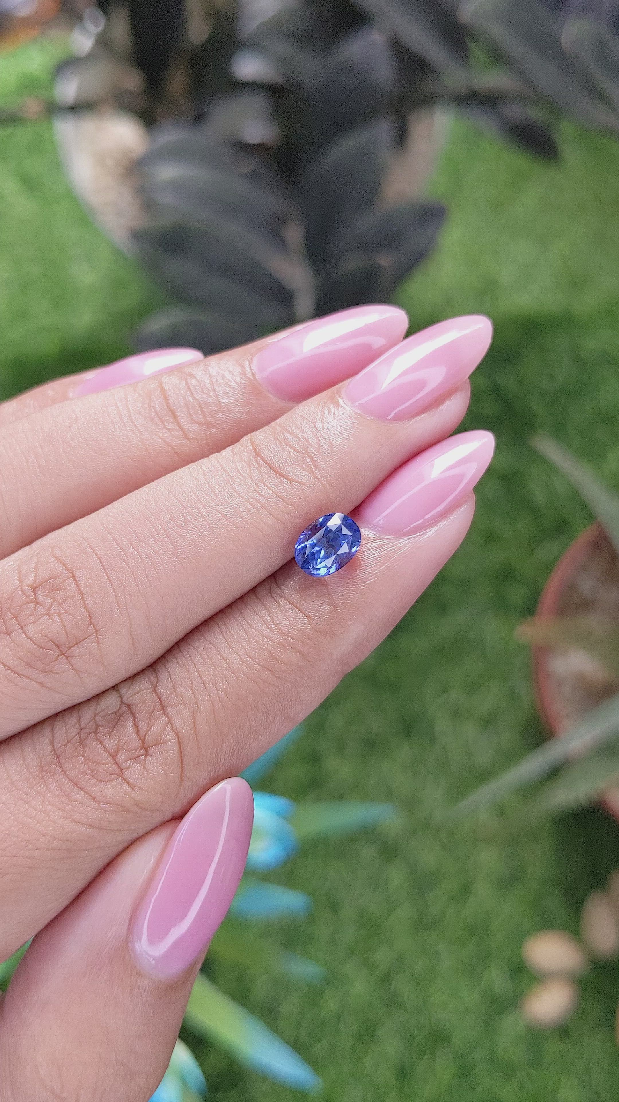 1.52 Ct. Blue Sapphire from Ceylon (Sri Lanka) Size Video
