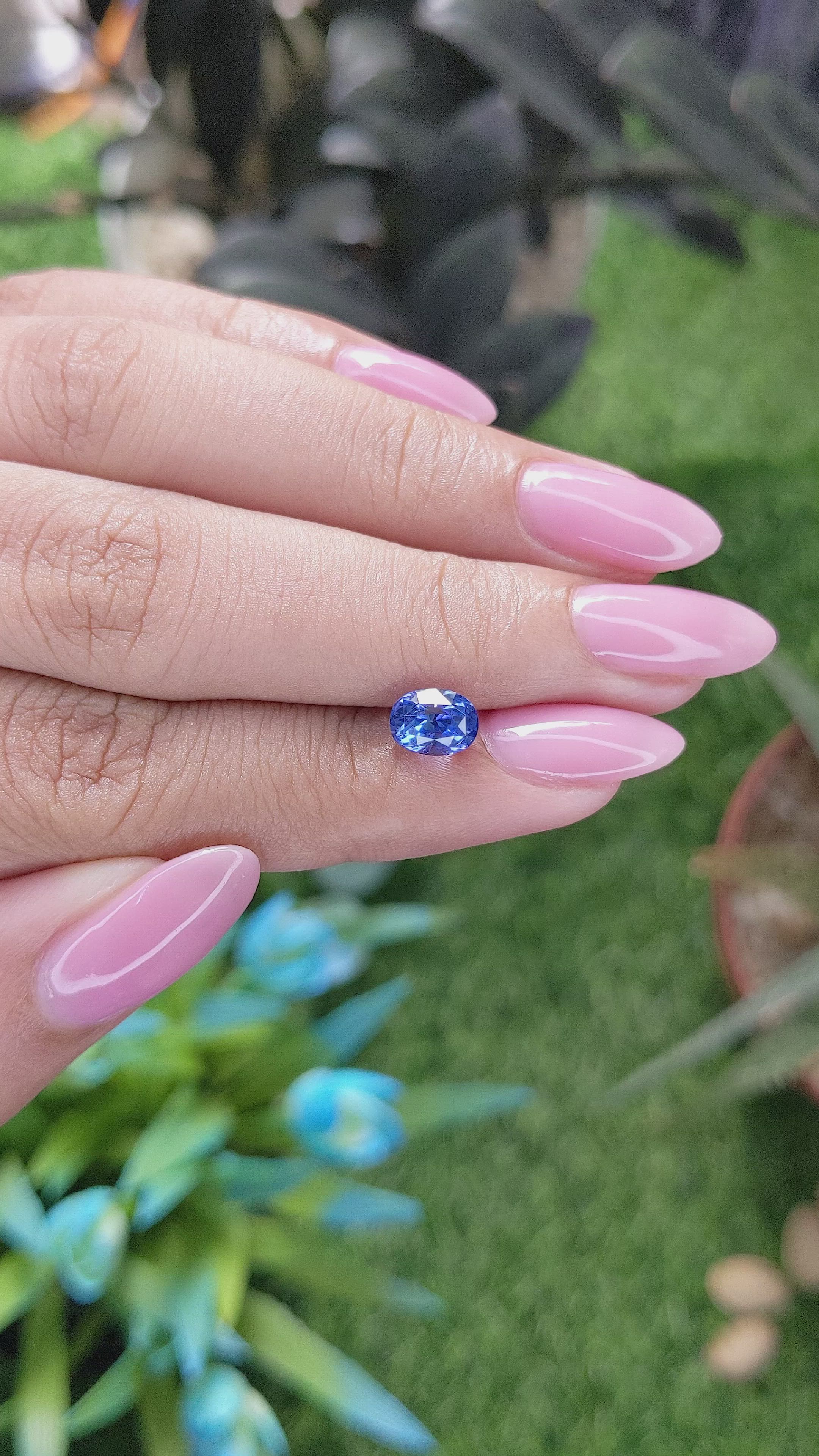 1.52 Ct. Blue Sapphire from Ceylon (Sri Lanka) Size Video