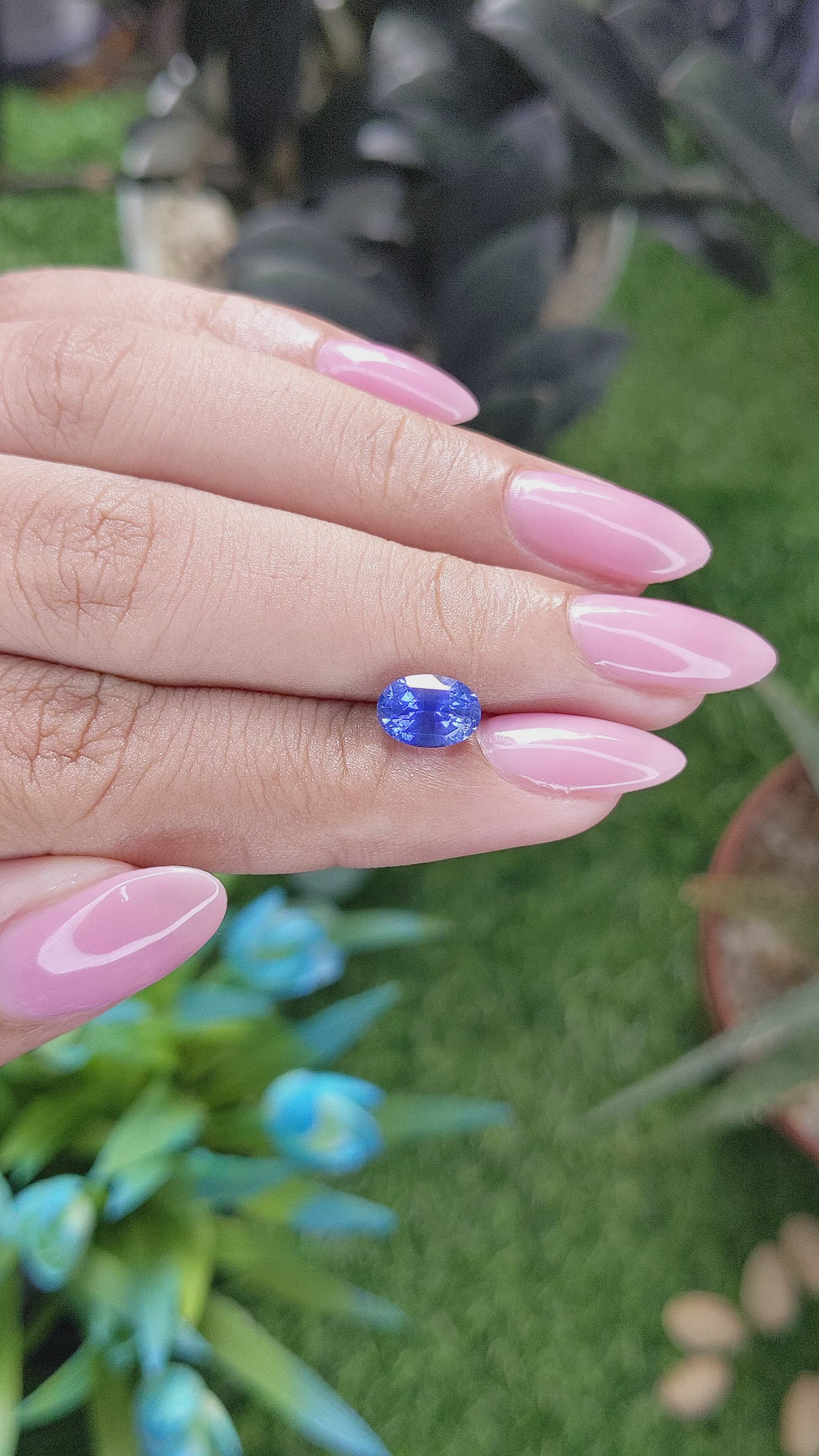 1.77 Ct. Blue Sapphire from Ceylon (Sri Lanka) Size Video