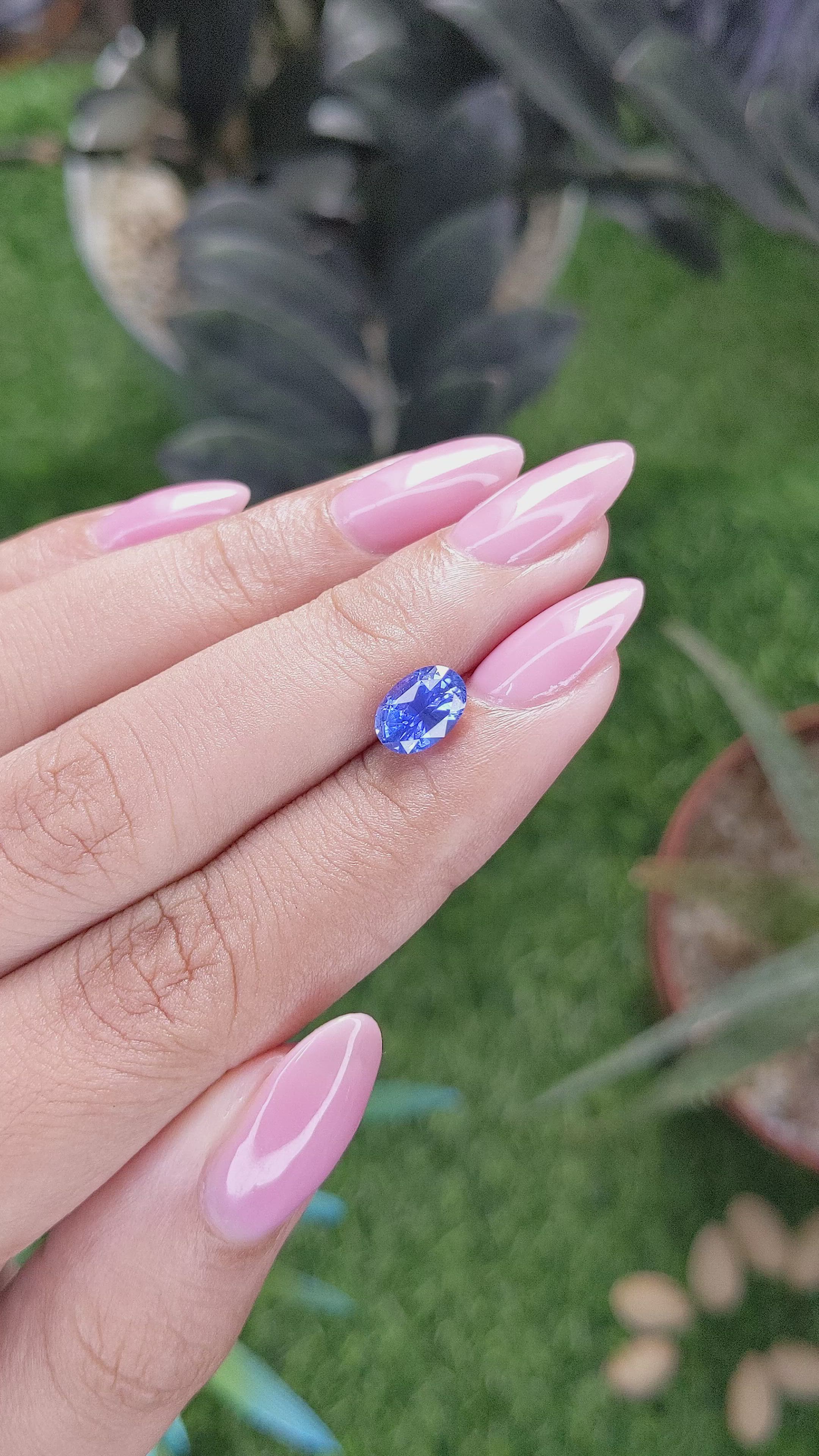 1.77 Ct. Blue Sapphire from Ceylon (Sri Lanka) Size Video