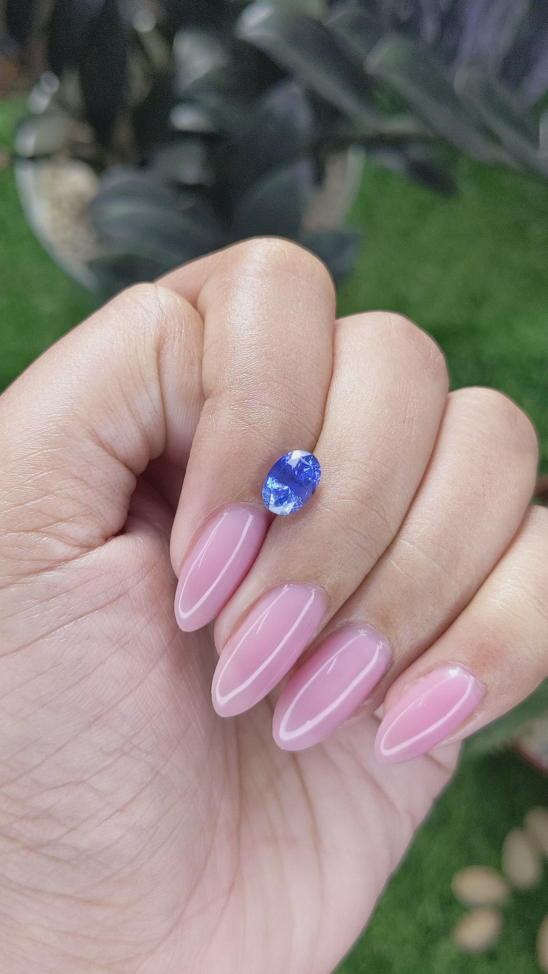 1.77 Ct. Blue Sapphire from Ceylon (Sri Lanka) Size Video
