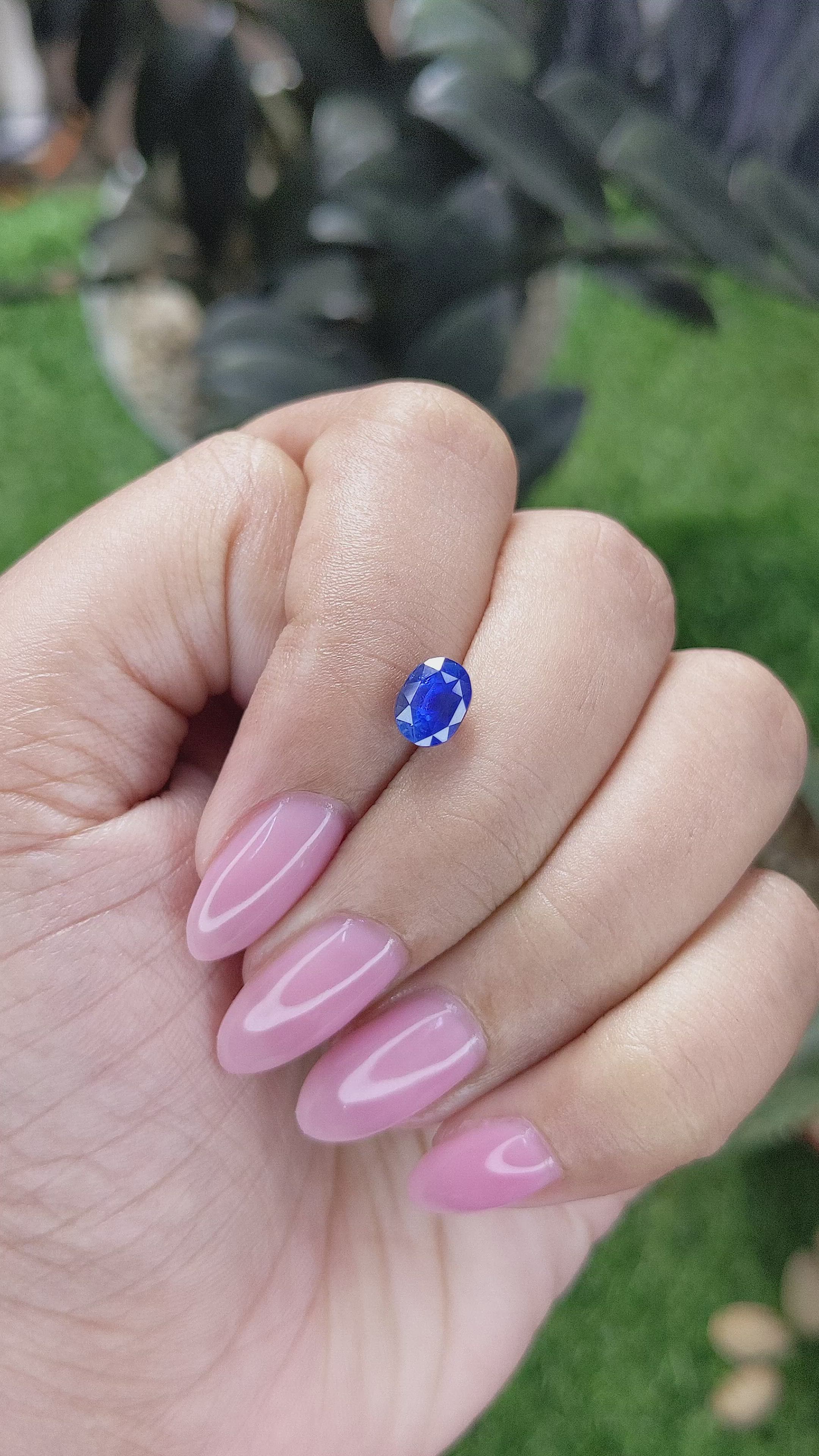 1.49 Ct. Blue Sapphire from Ceylon (Sri Lanka) Size Video