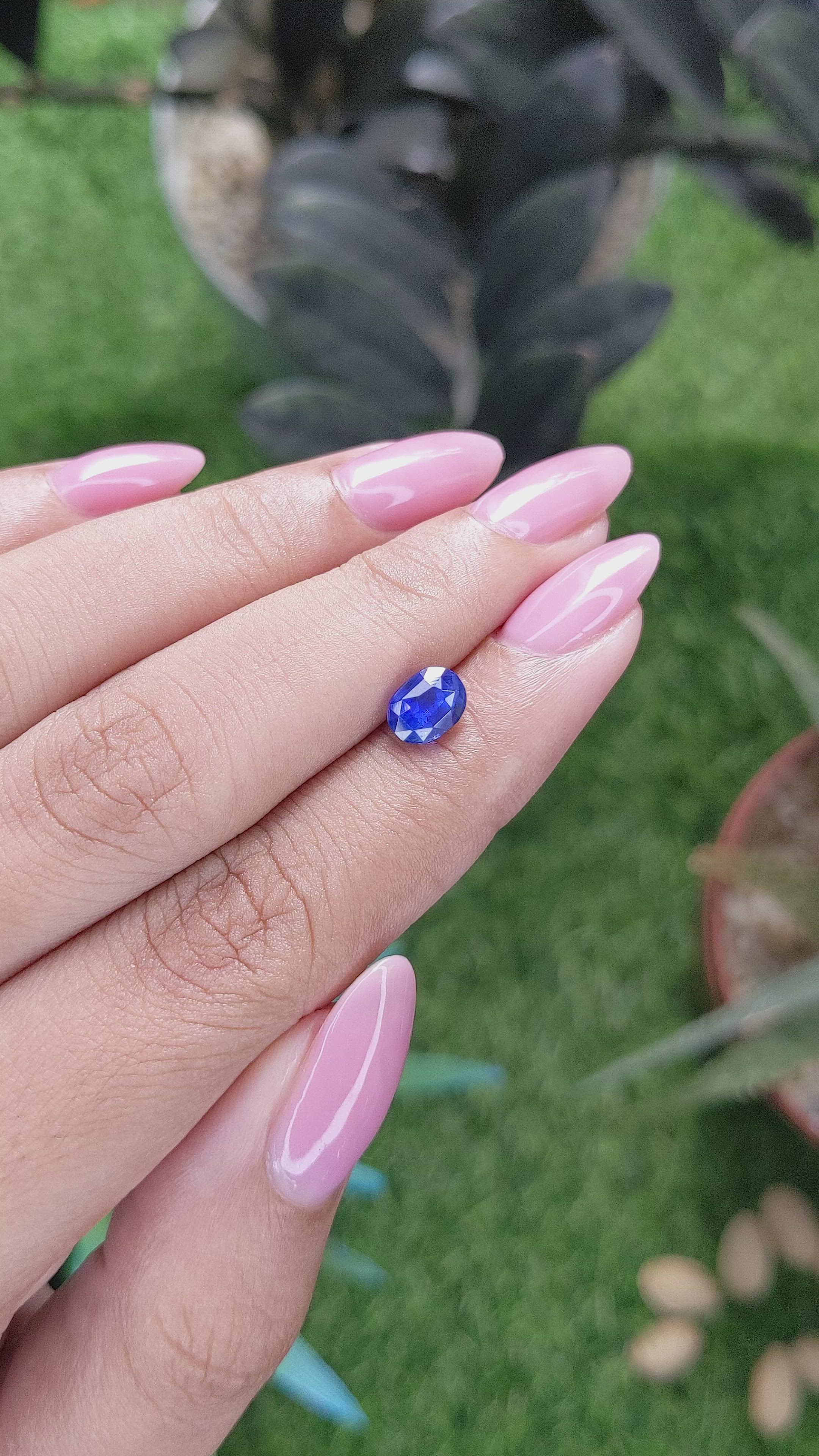 1.49 Ct. Blue Sapphire from Ceylon (Sri Lanka) Size Video