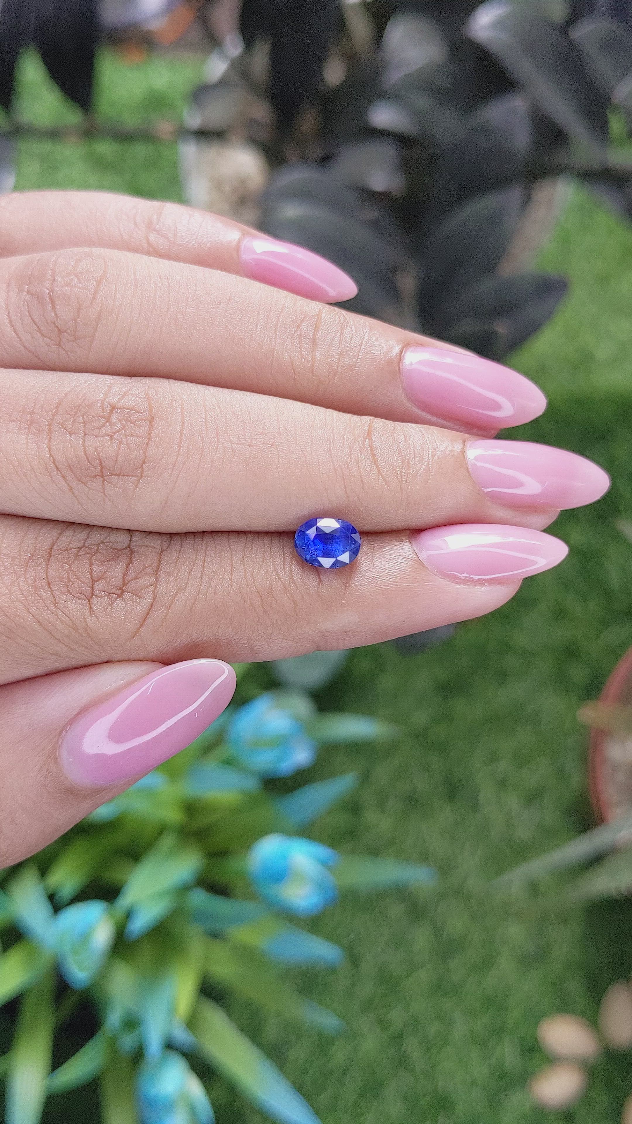 1.49 Ct. Blue Sapphire from Ceylon (Sri Lanka) Size Video