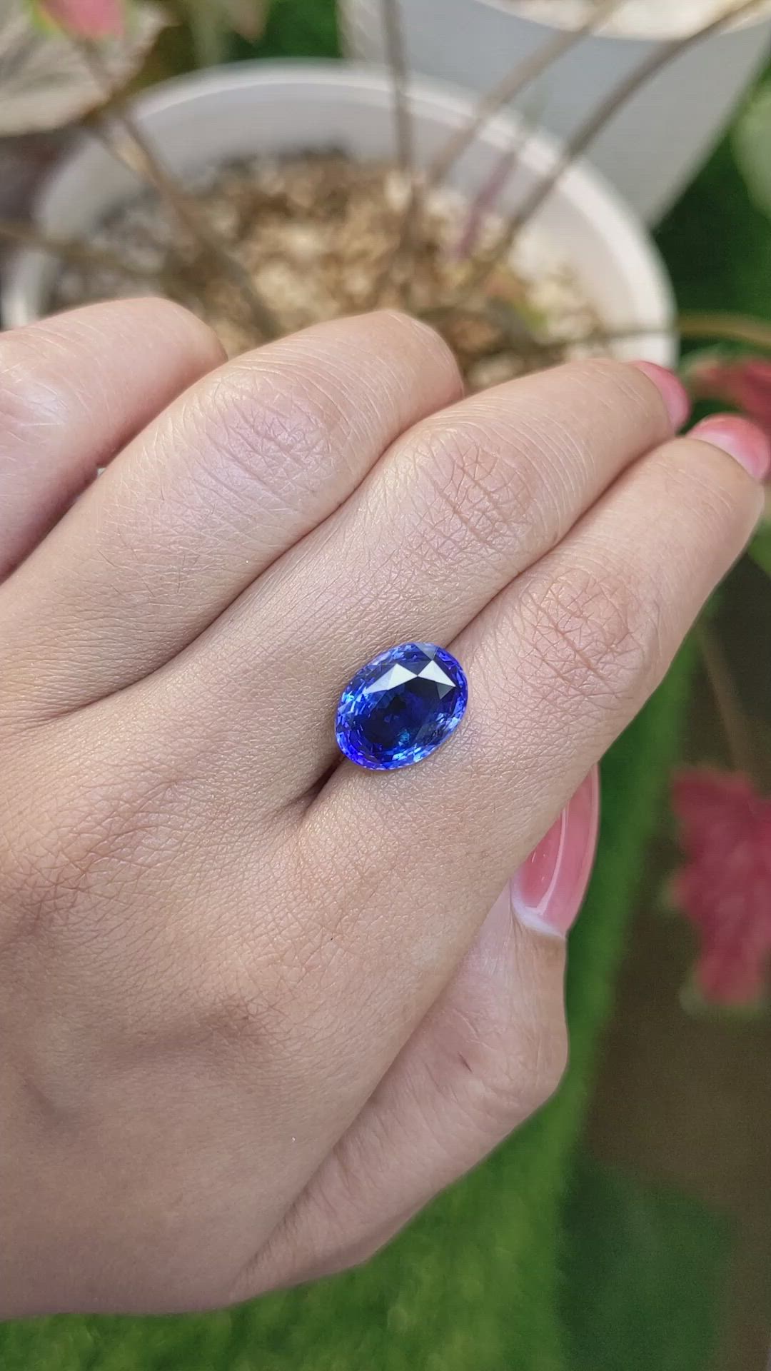 5.56 Ct. Blue Sapphire from Ceylon (Sri Lanka) Size Video