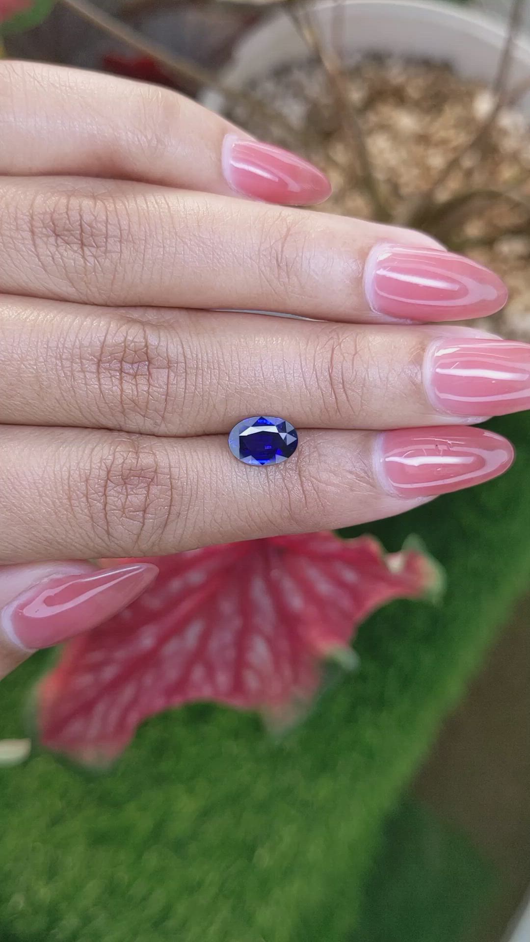 1.56 Ct. Blue Sapphire from Ceylon (Sri Lanka) Size Video