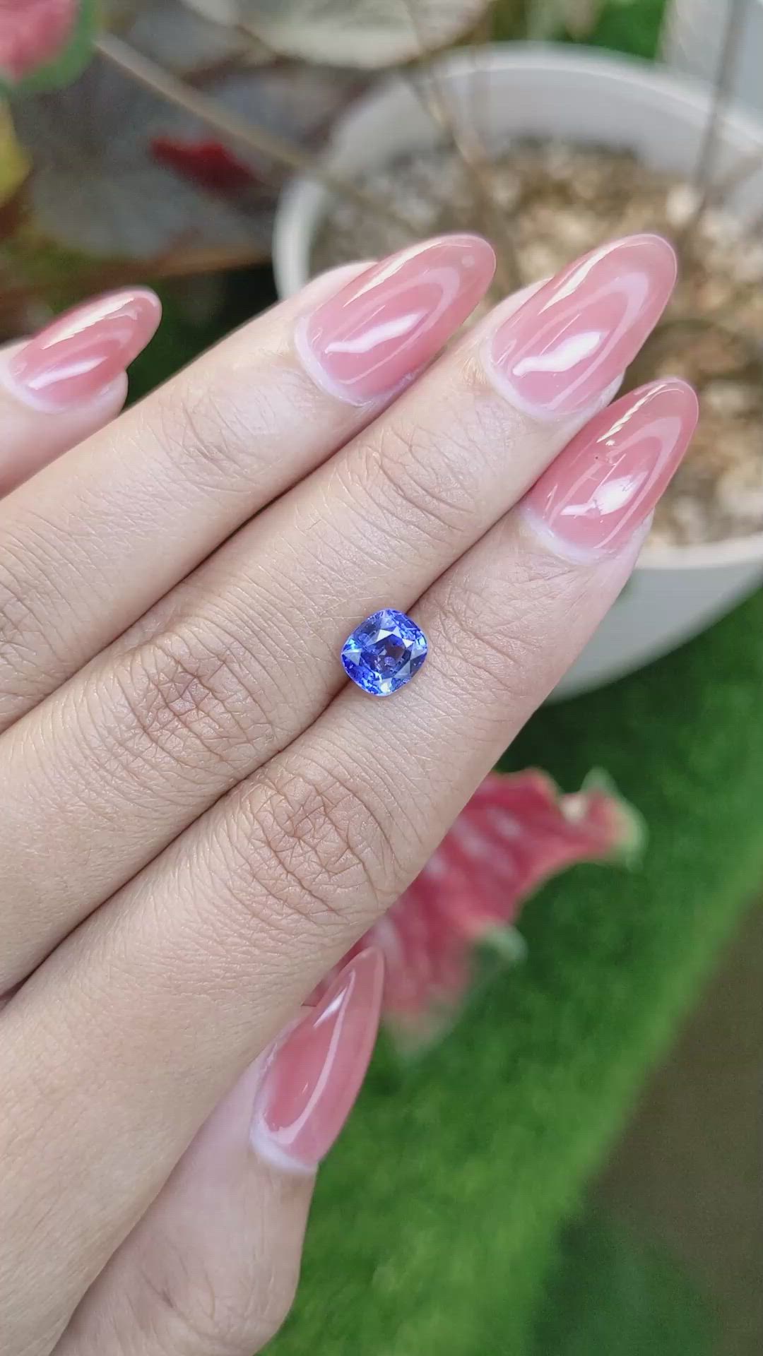 1.69 Ct. Blue Sapphire from Ceylon (Sri Lanka) Size Video