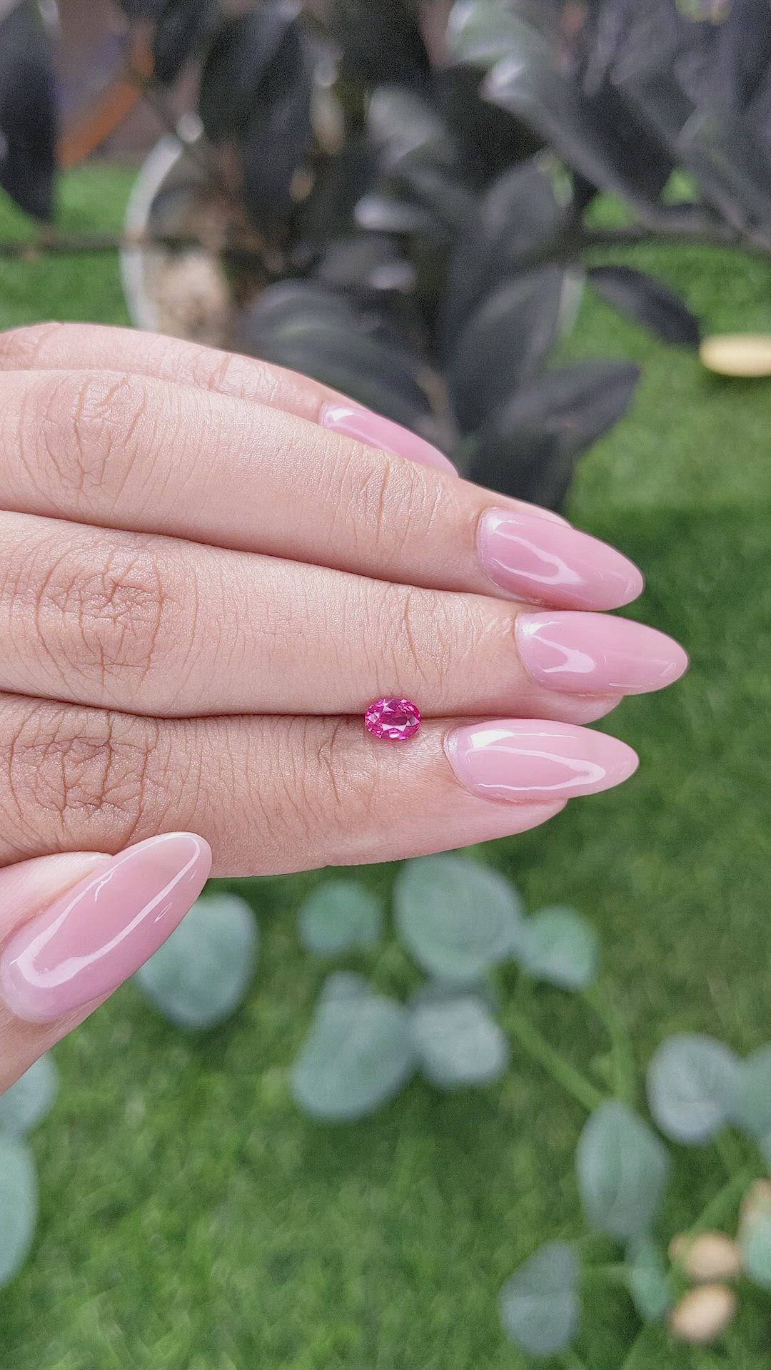 0.36 Ct. Pink Sapphire from Tanzania Size Video
