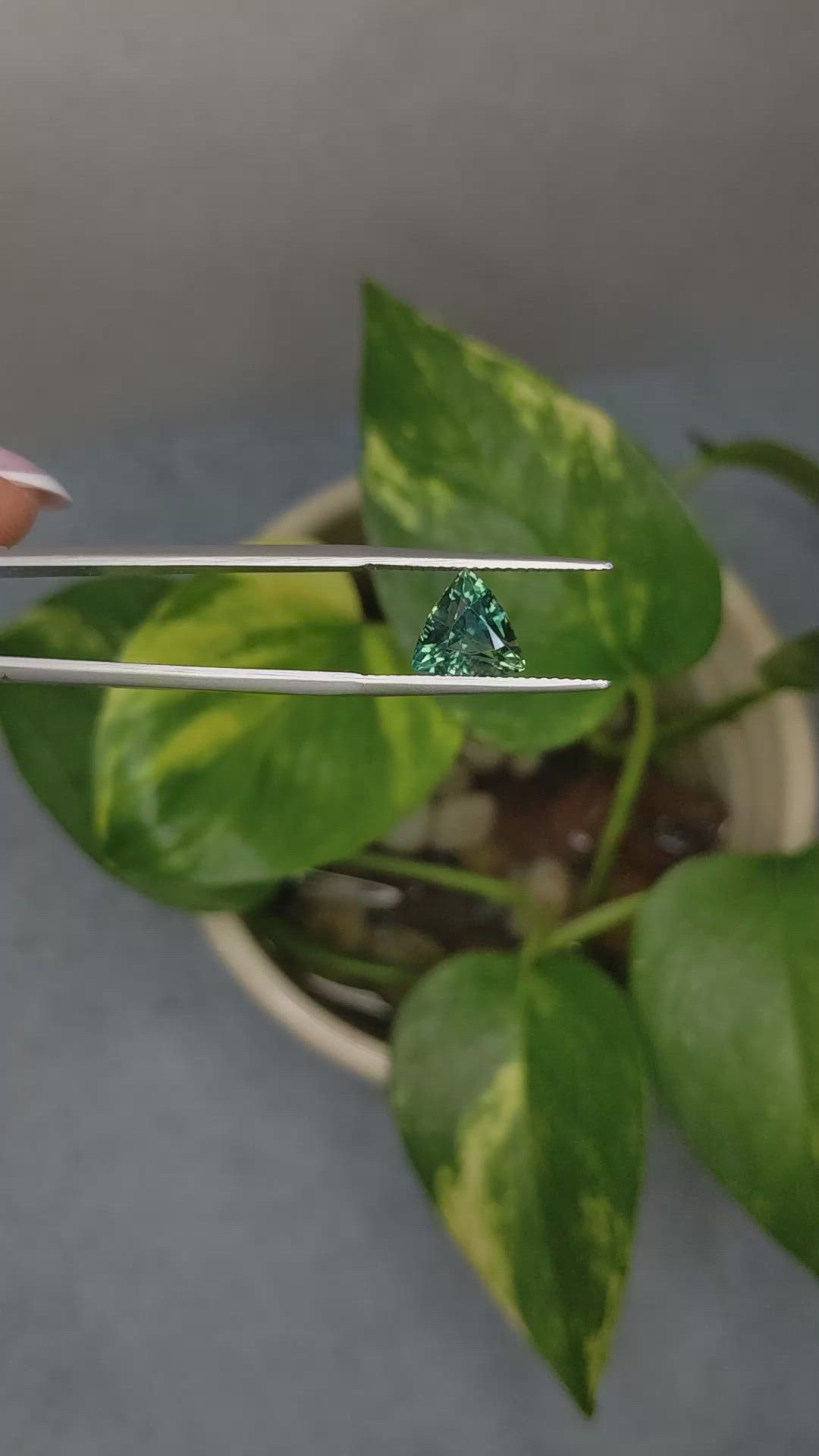 2.55 Ct. Bluish Green Sapphire from Tanzania Size Video