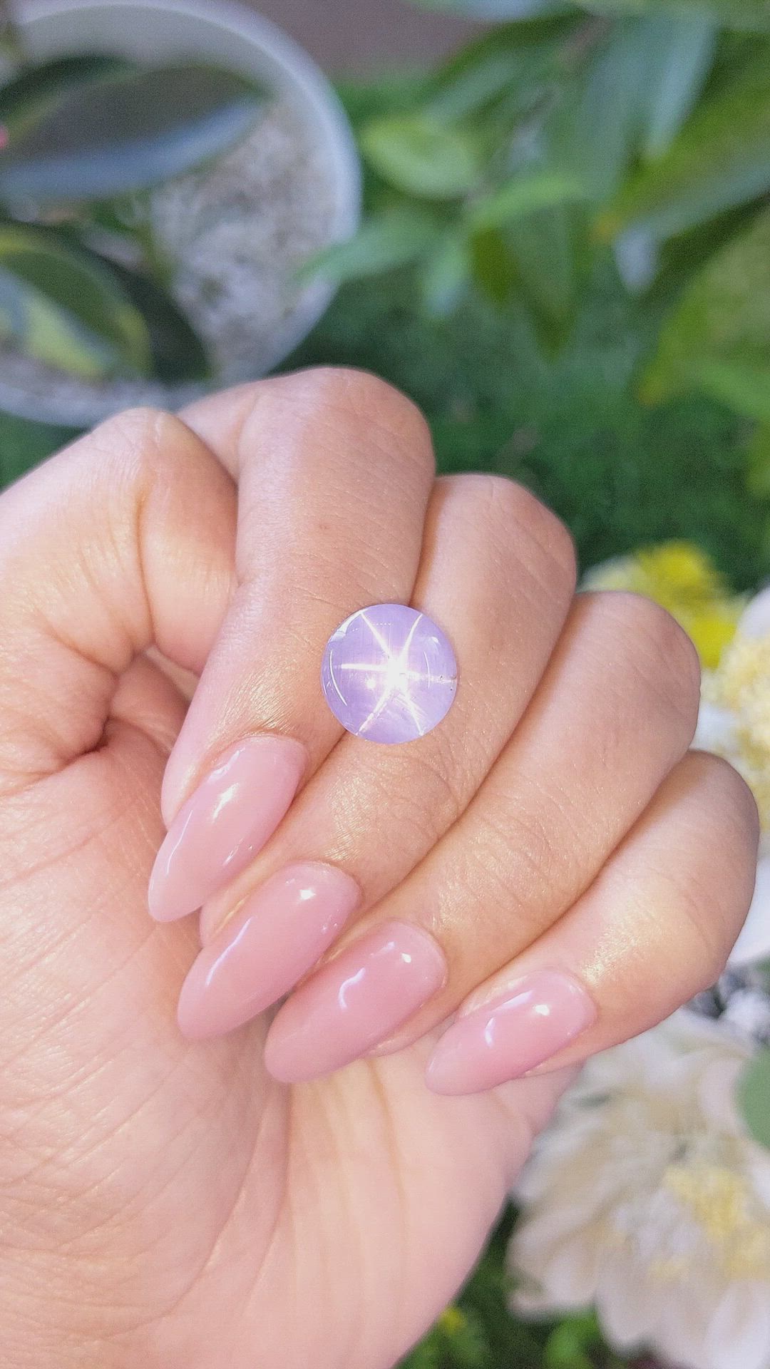 7.98 Ct. Bluish Purple Star Sapphire from Ceylon (Sri Lanka) Size Video