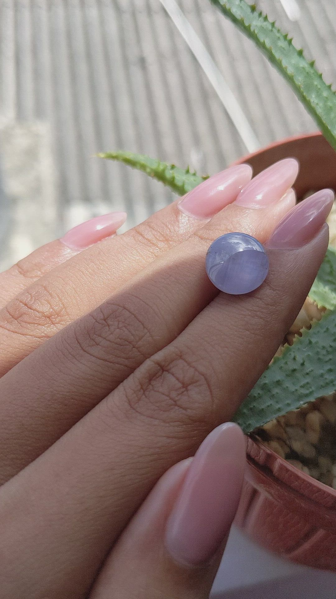 7.98 Ct. Bluish Purple Star Sapphire from Ceylon (Sri Lanka) Size Video
