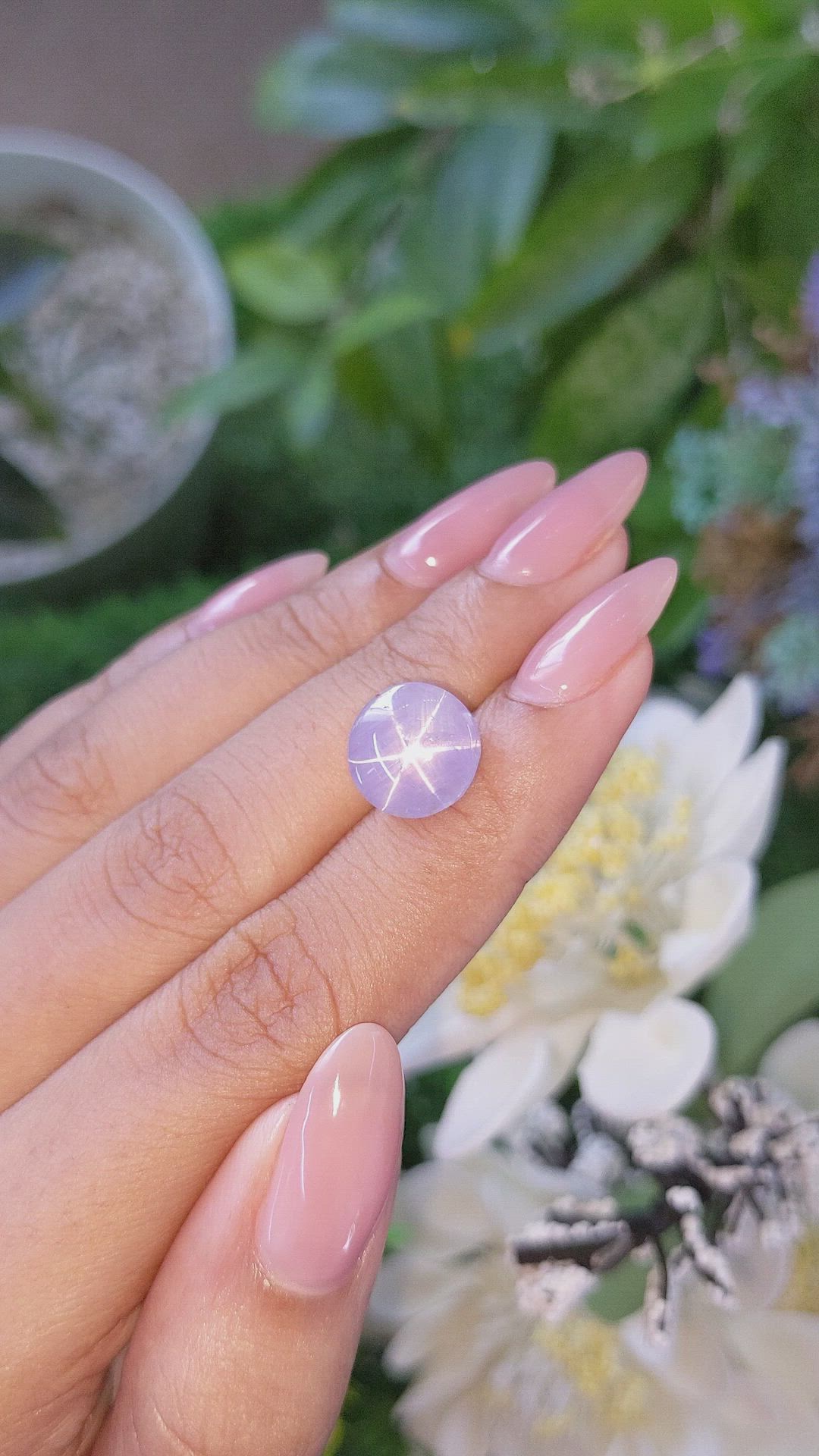 7.98 Ct. Bluish Purple Star Sapphire from Ceylon (Sri Lanka) Size Video