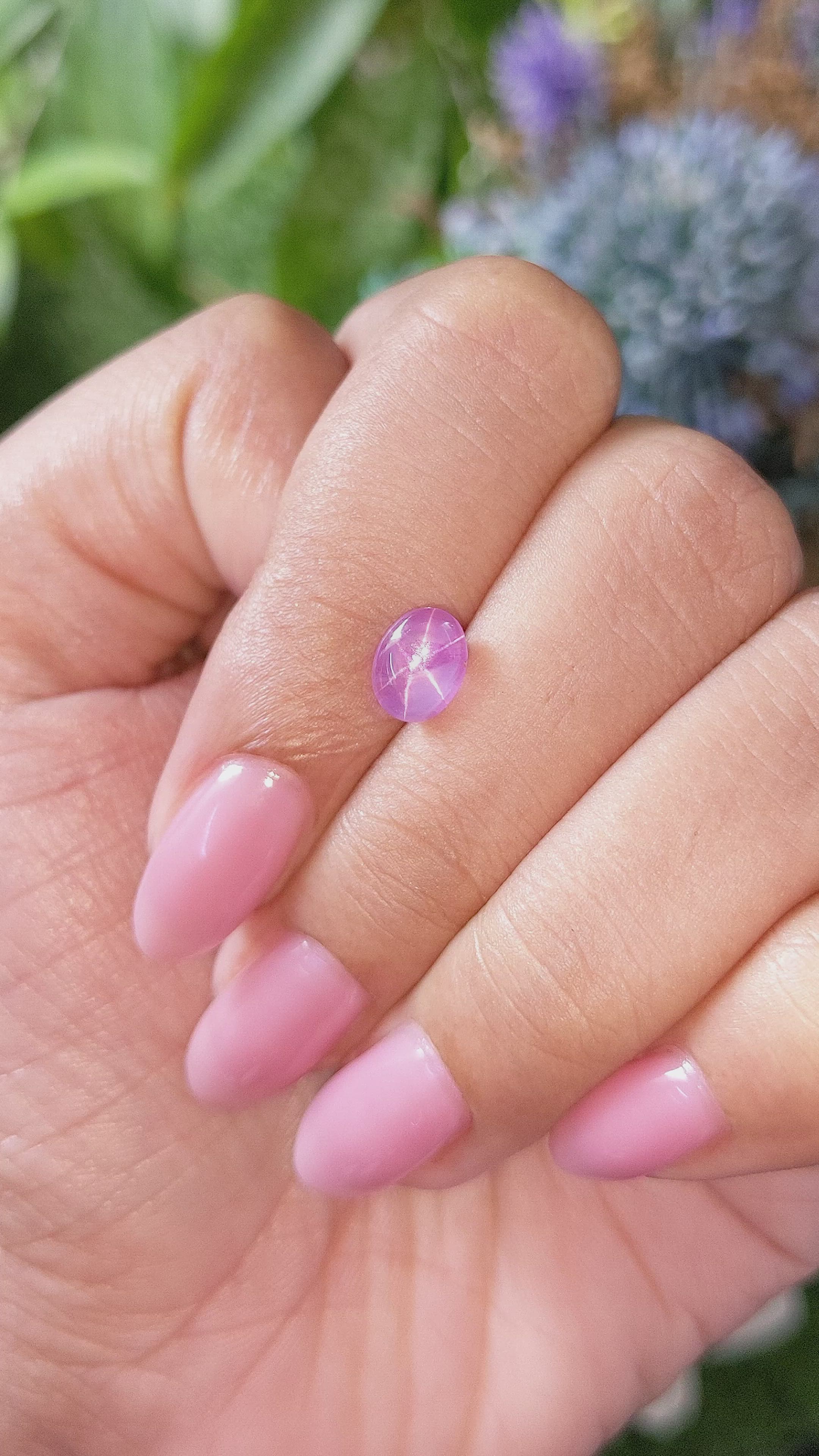 1.83 Ct. Pink Star Sapphire from Ceylon (Sri Lanka) Size Video