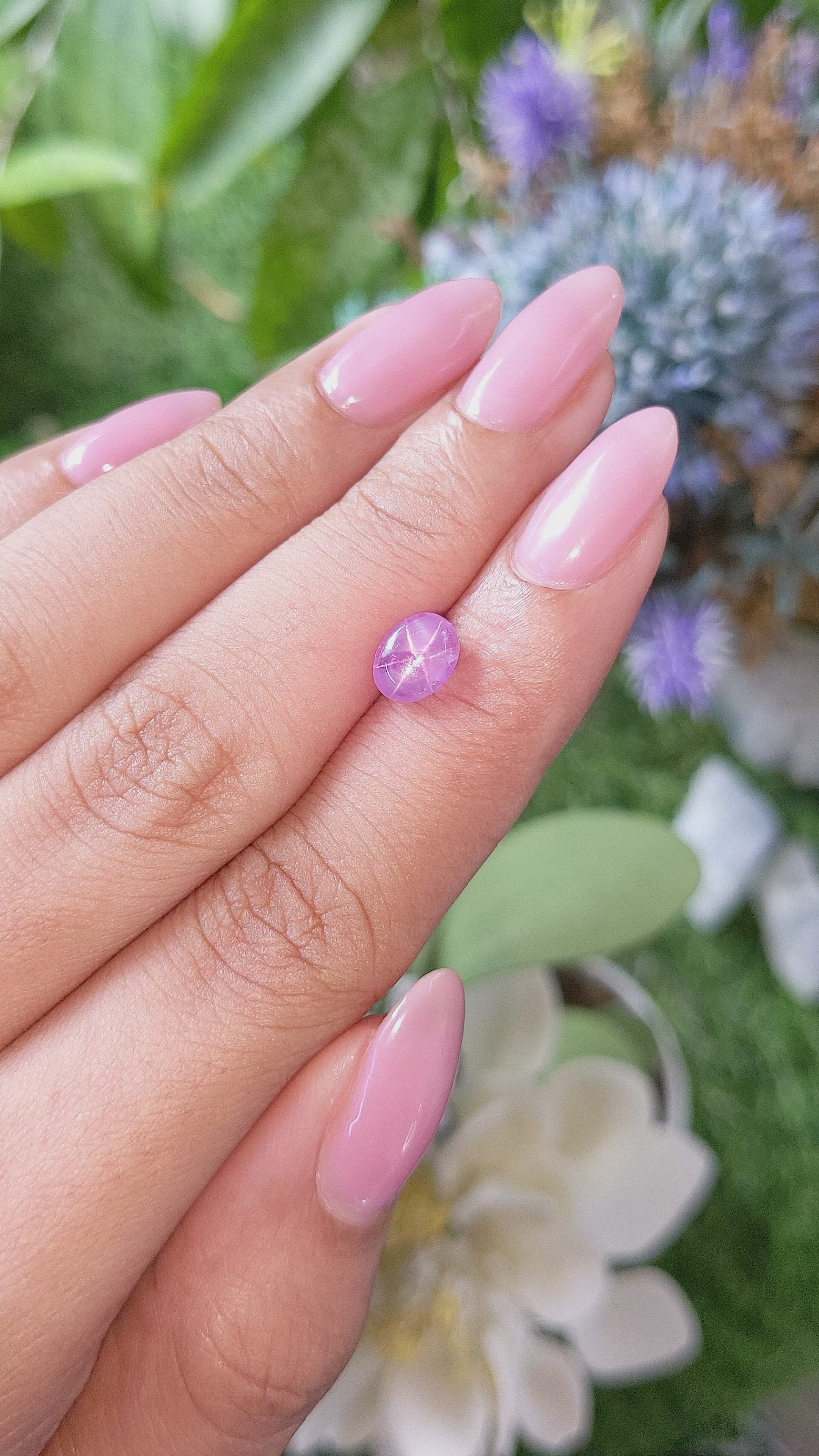 1.83 Ct. Pink Star Sapphire from Ceylon (Sri Lanka) Size Video