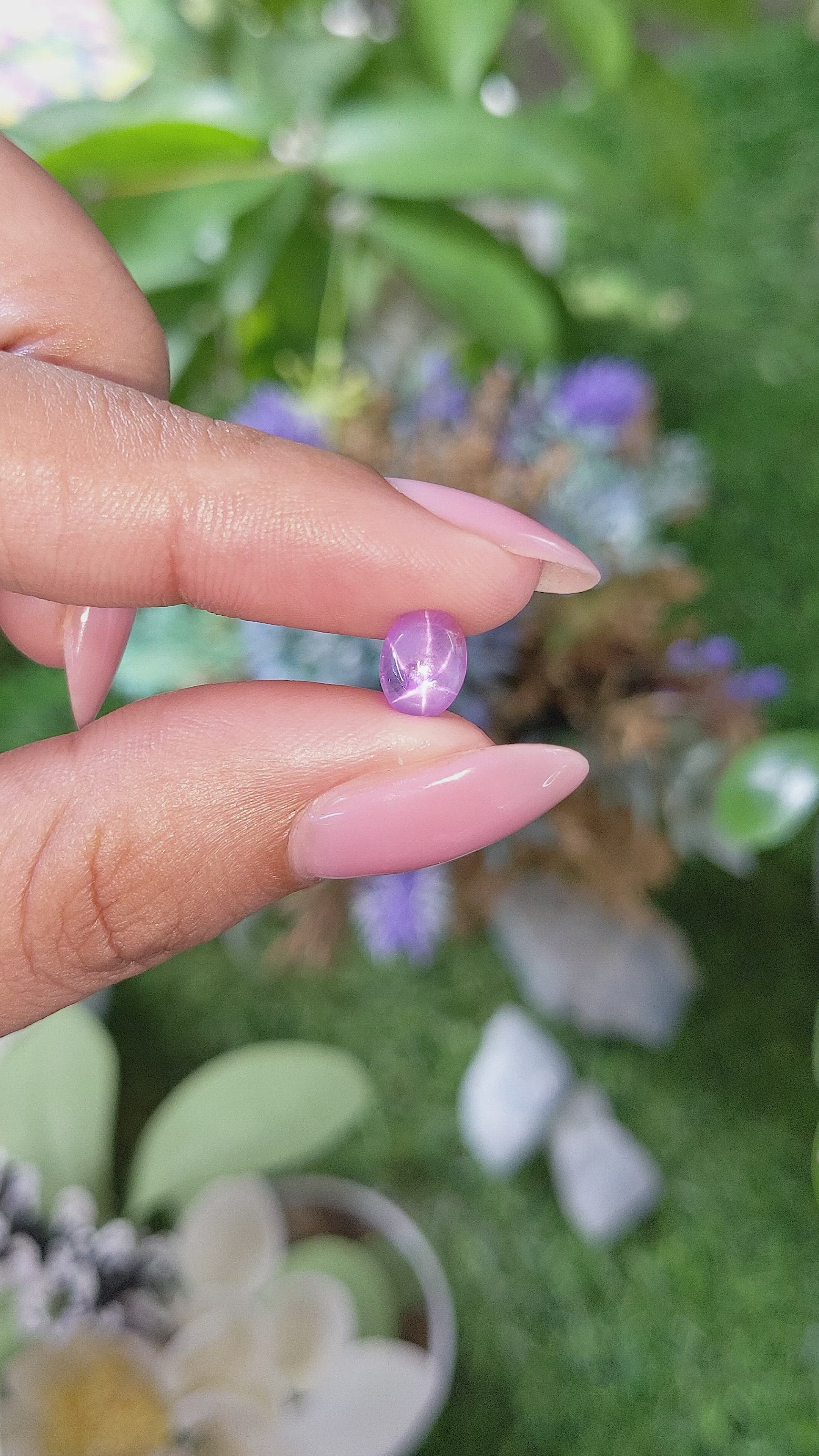 1.83 Ct. Pink Star Sapphire from Ceylon (Sri Lanka) Size Video