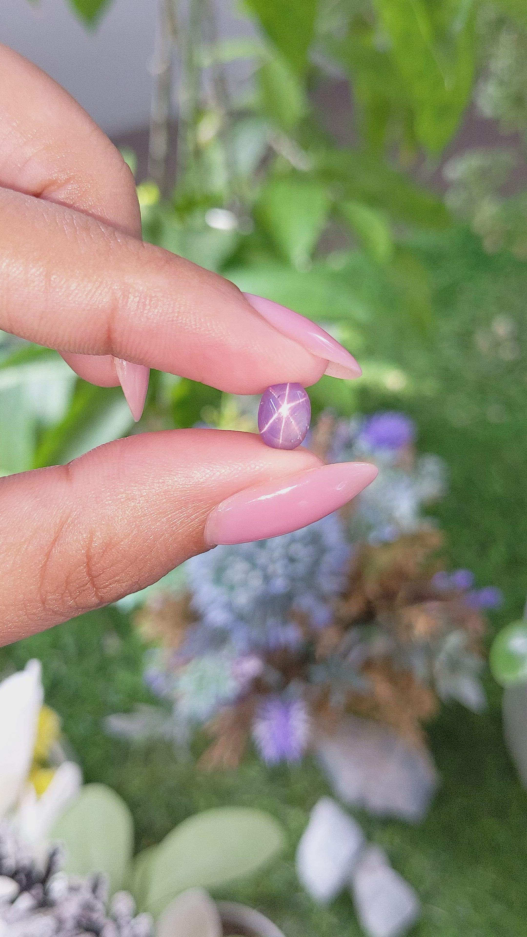 2.43 Ct. Pinkish Purple Star Sapphire from Ceylon (Sri Lanka) Size Video