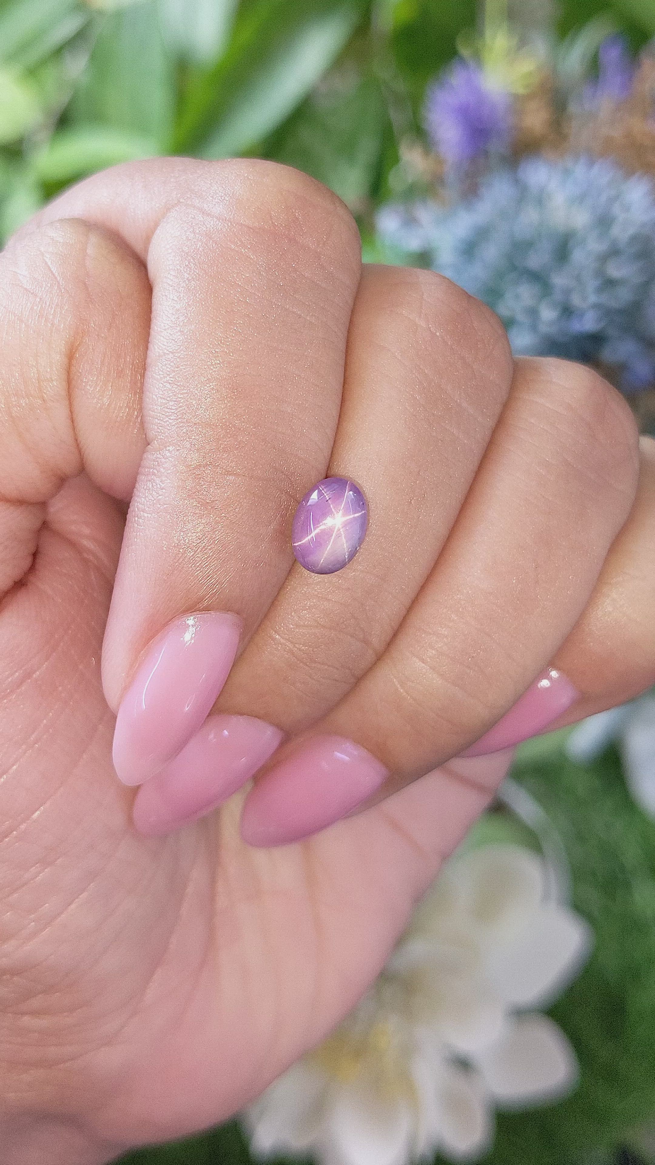 2.43 Ct. Pinkish Purple Star Sapphire from Ceylon (Sri Lanka) Size Video