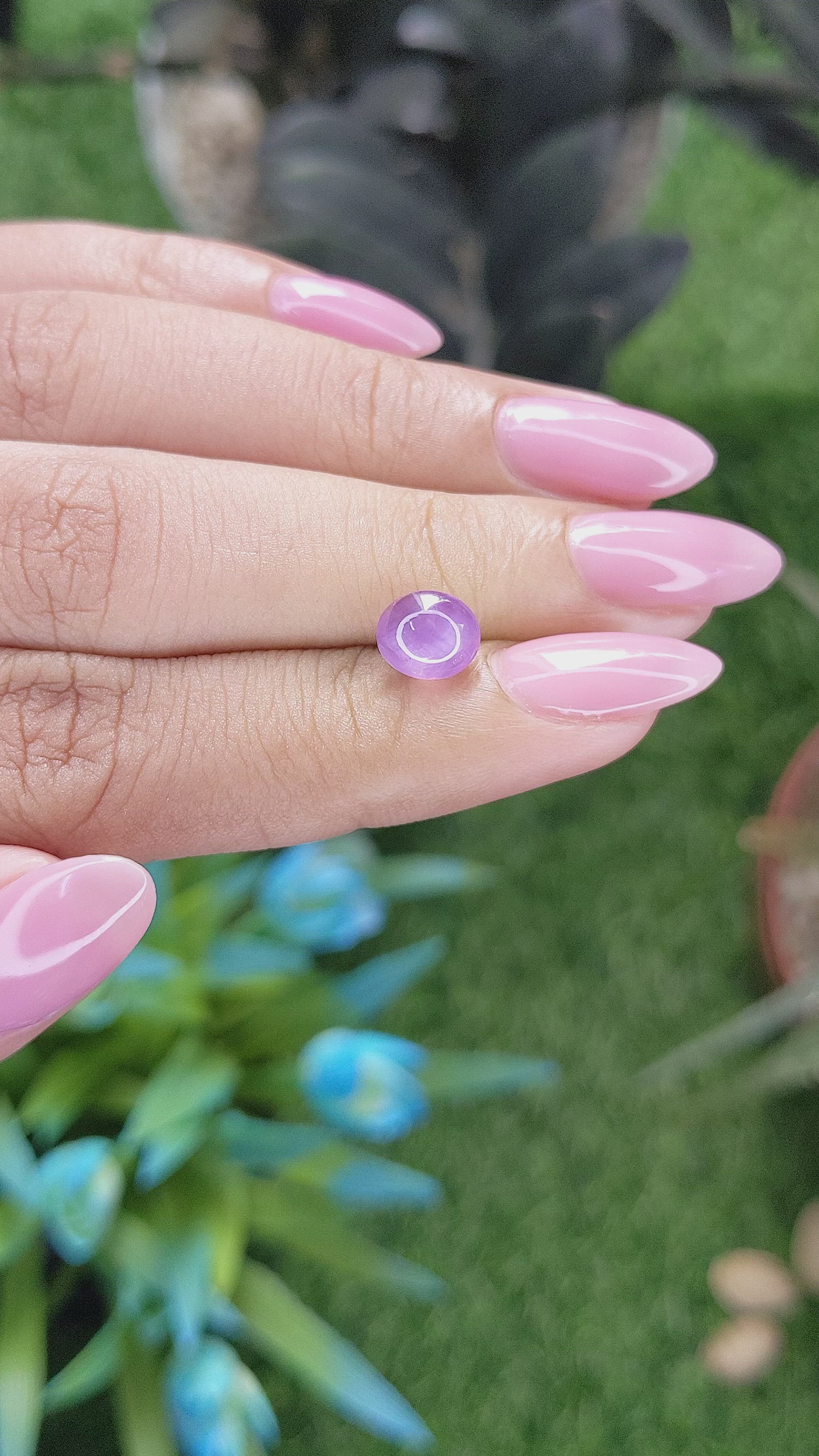 2.62 Ct. Pinkish Purple Star Sapphire from Ceylon (Sri Lanka) Size Video