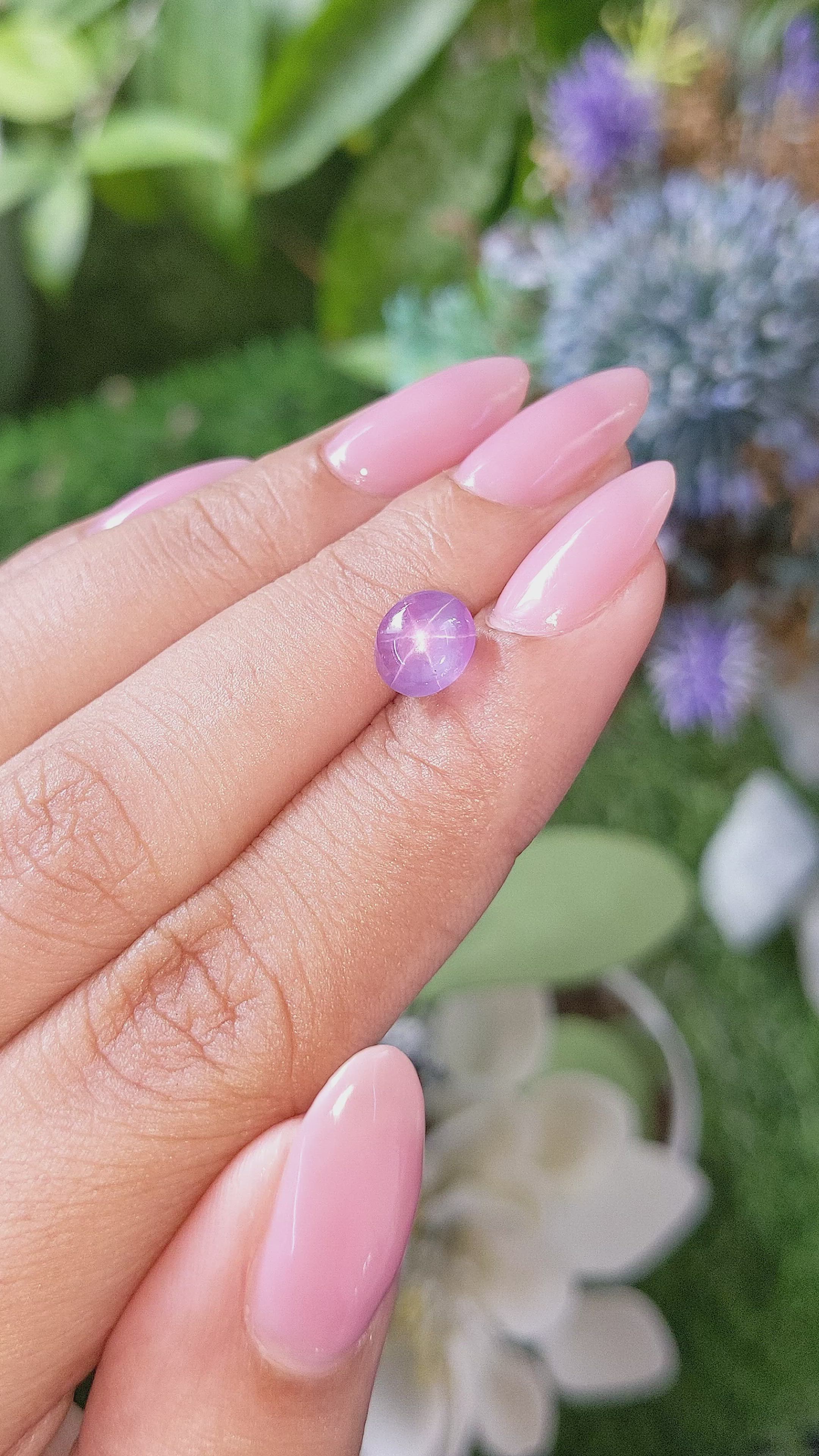 2.62 Ct. Pinkish Purple Star Sapphire from Ceylon (Sri Lanka) Size Video