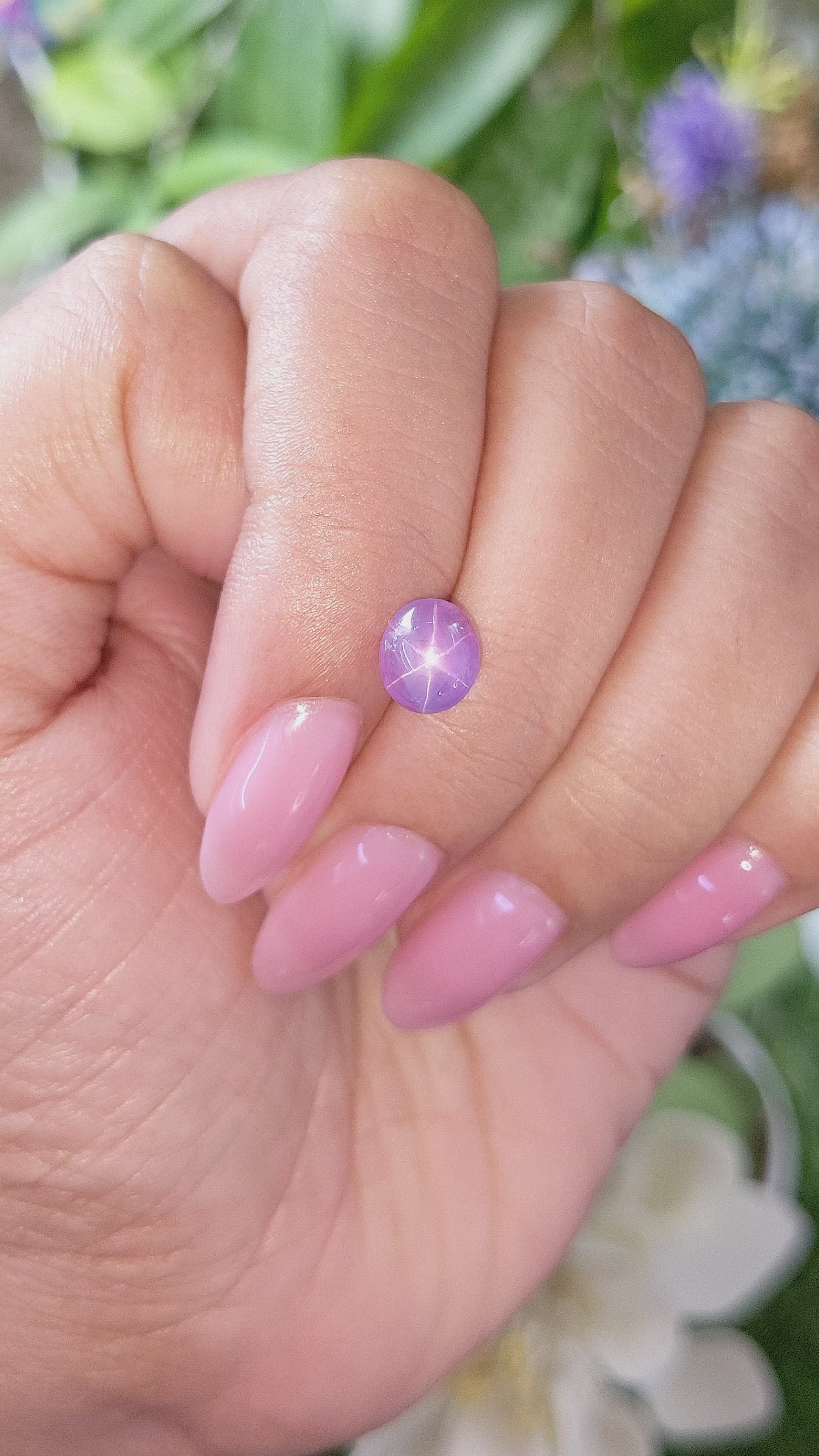 2.62 Ct. Pinkish Purple Star Sapphire from Ceylon (Sri Lanka) Size Video
