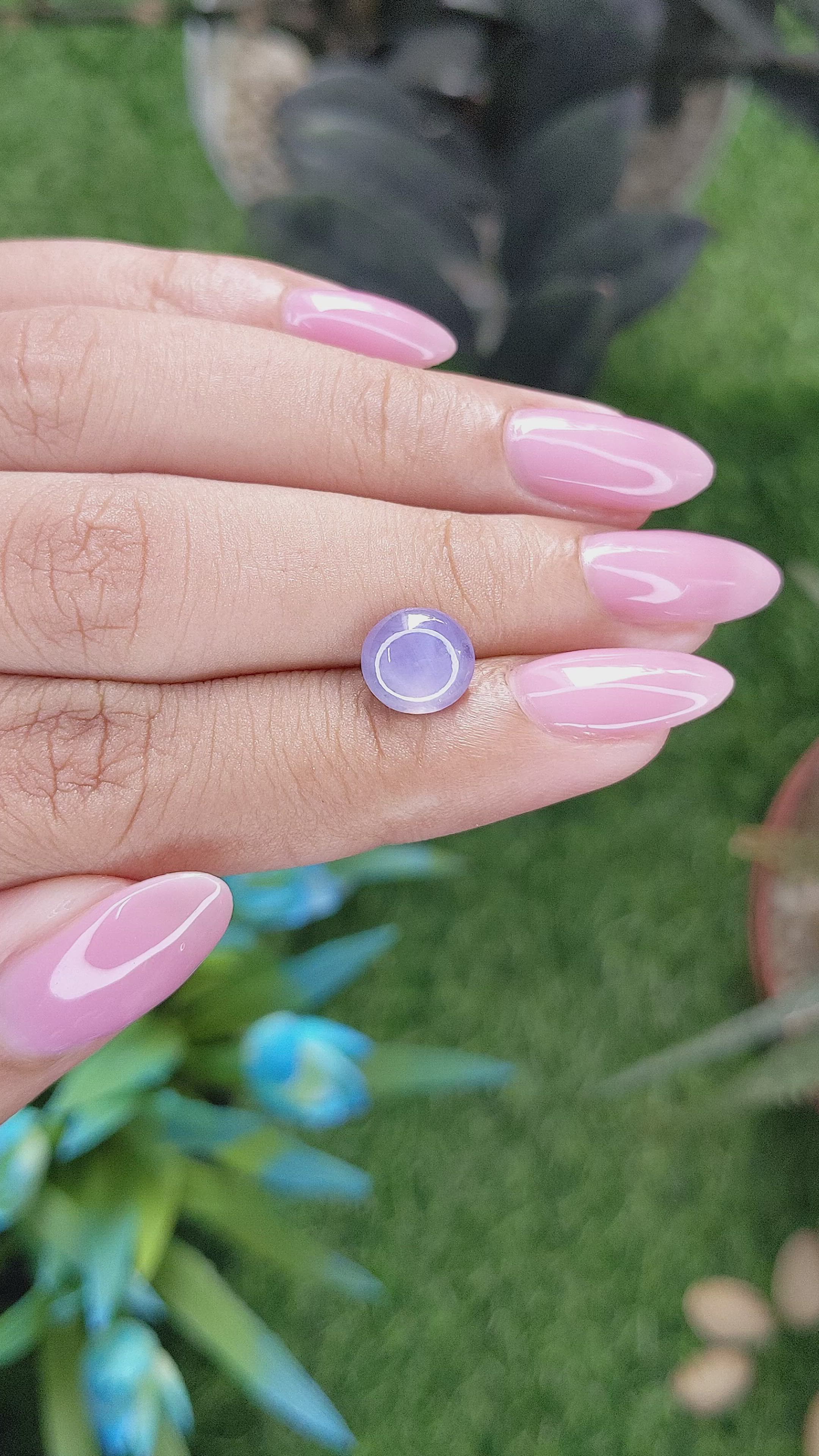 2.82 Ct. Bluish Purple Star Sapphire from Ceylon (Sri Lanka) Size Video